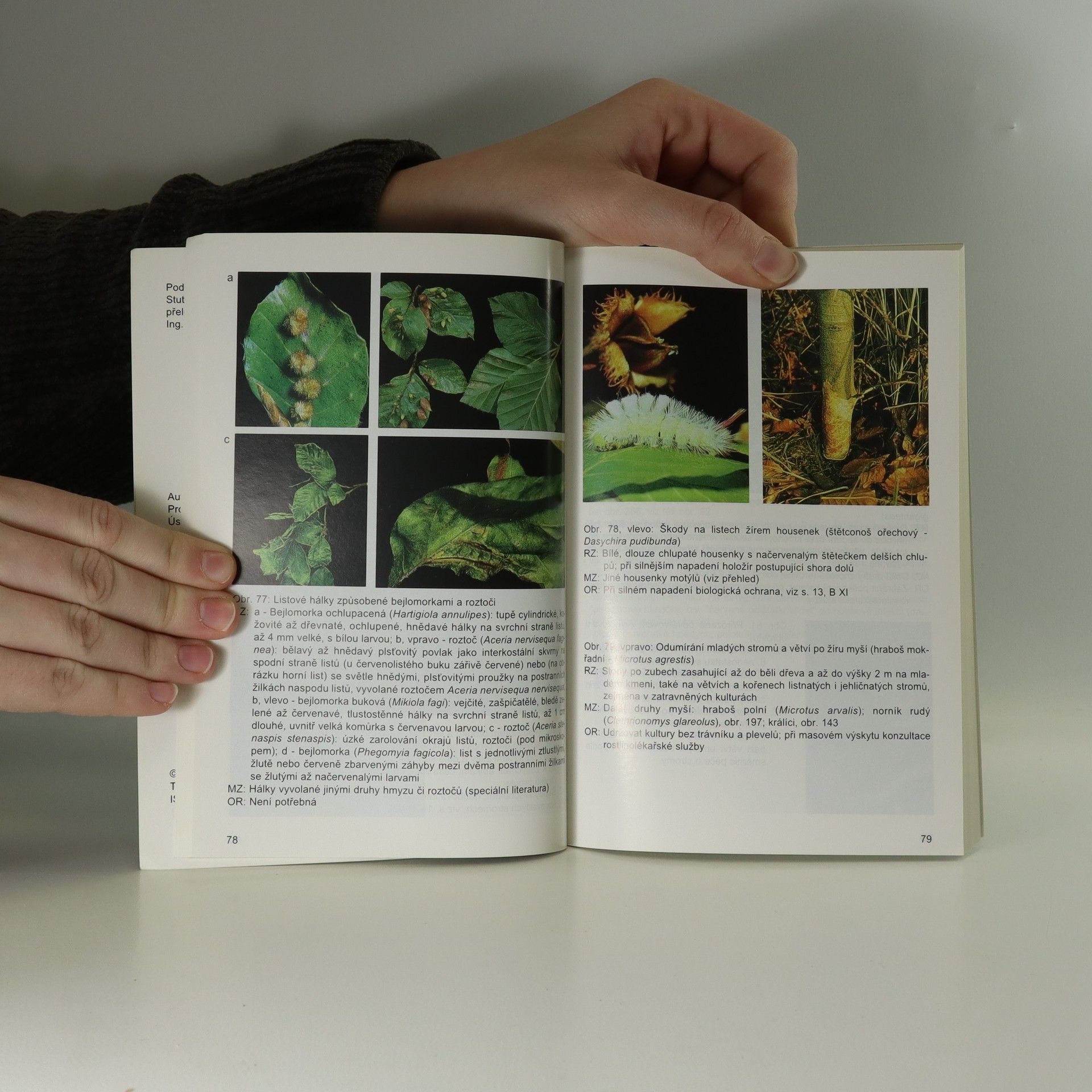 Franz Nienhaus Atlas chorob a škůdců okrasných dřevin