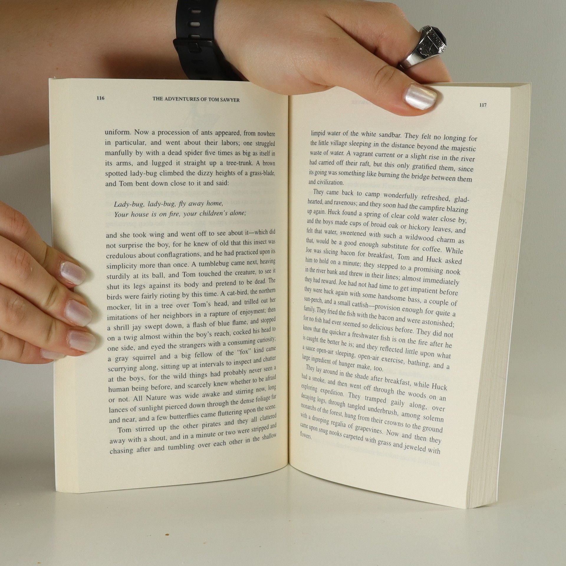 Mark Twain The Adventures of Tom Sawyer
