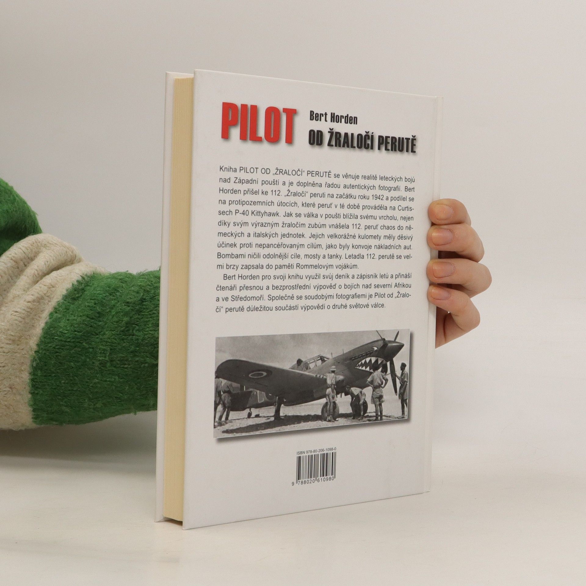 Bert Horden Pilot od žraločí perutě