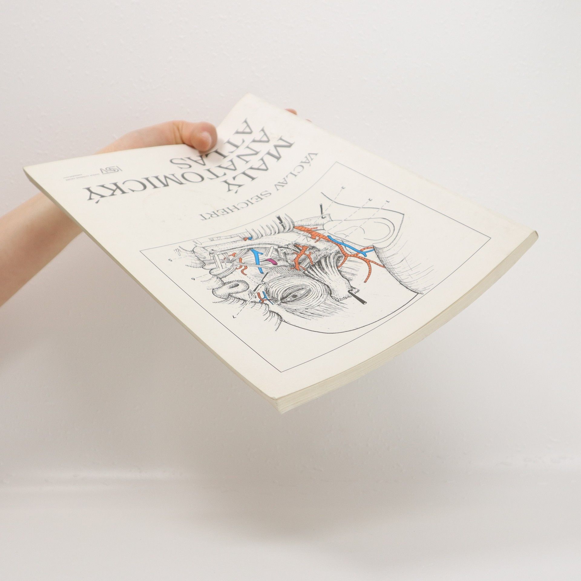 Václav Seichert Malý anatomický atlas