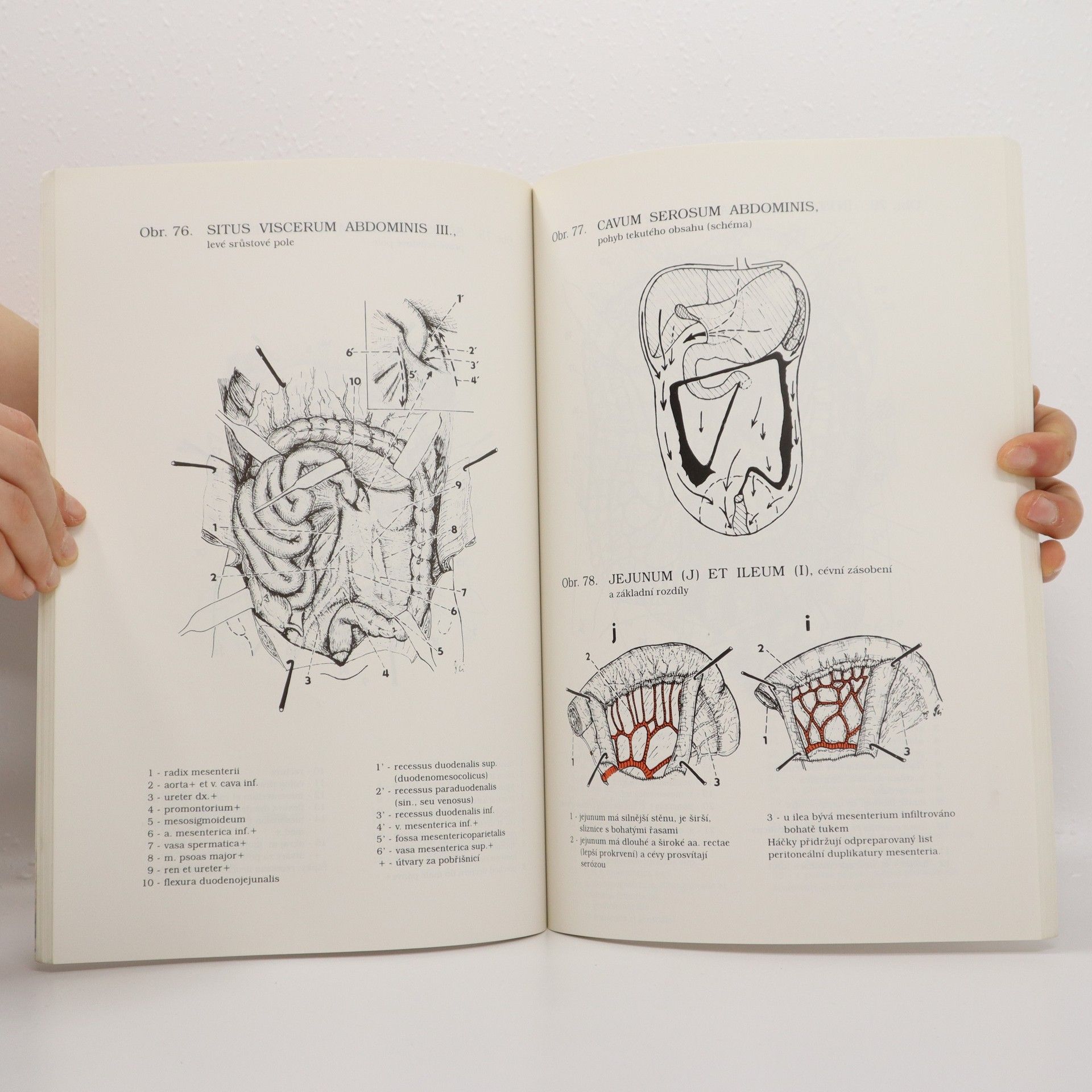 Václav Seichert Malý anatomický atlas