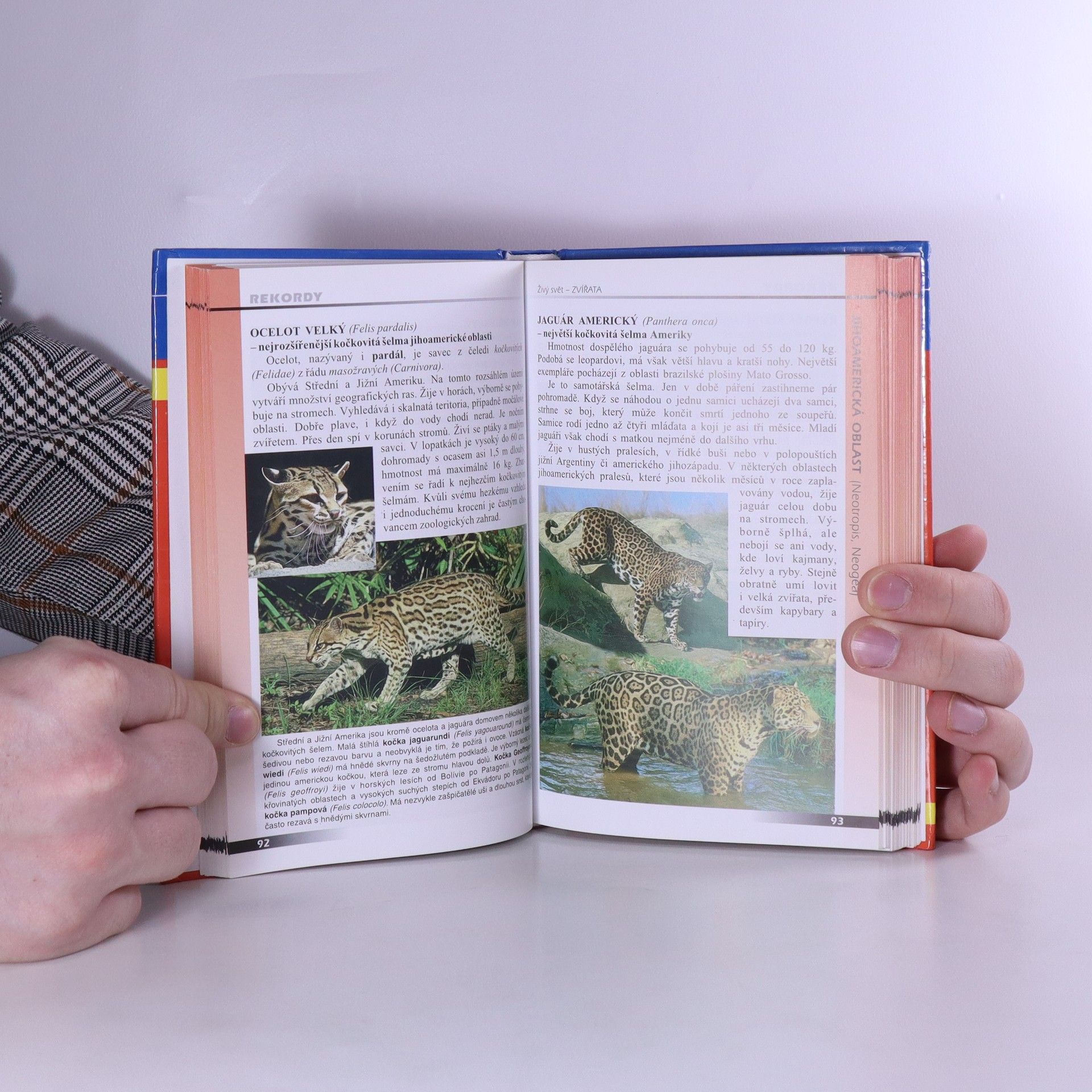 Various authors Živý svět - zvířata