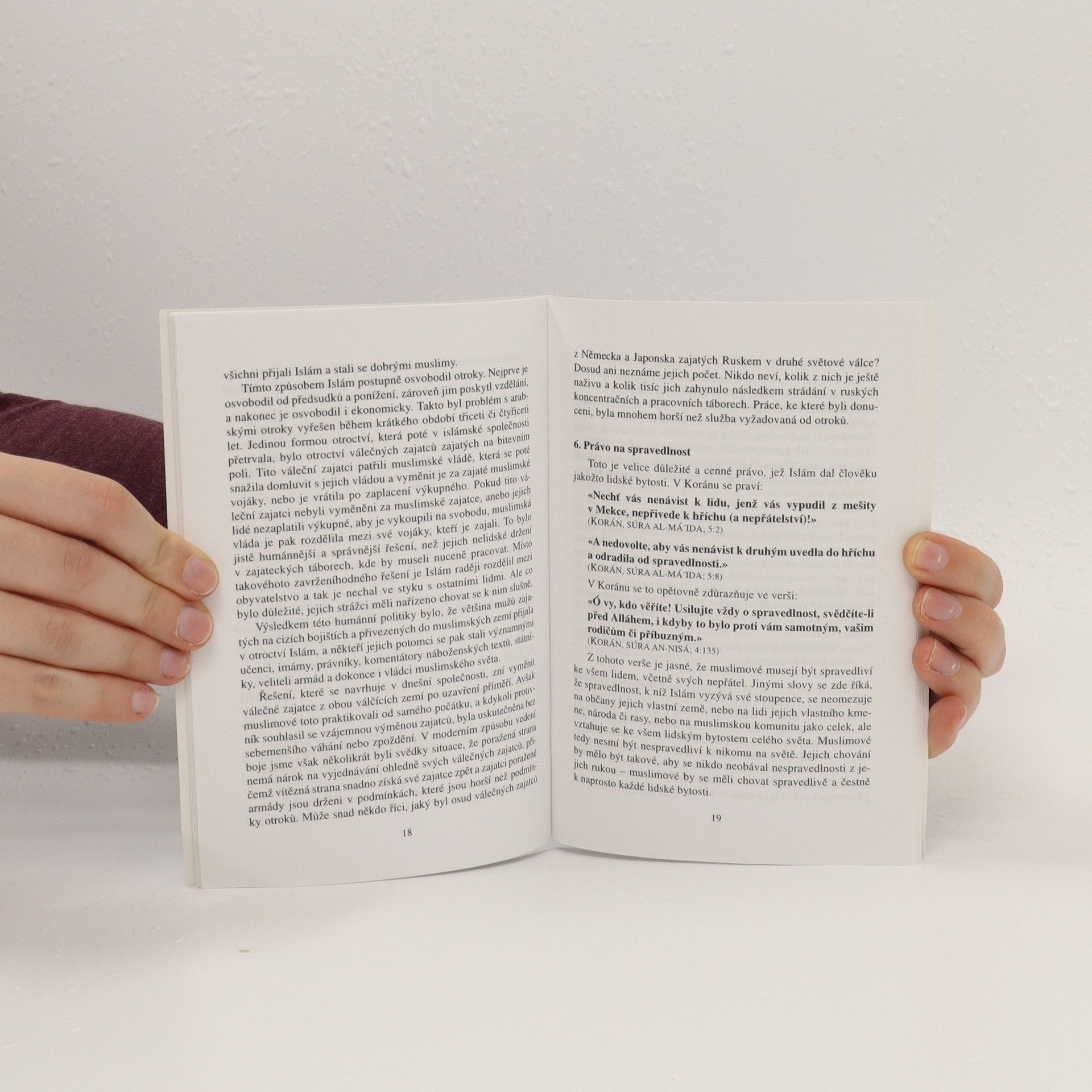 Autorenkollektiv Lidská práva v Islámu