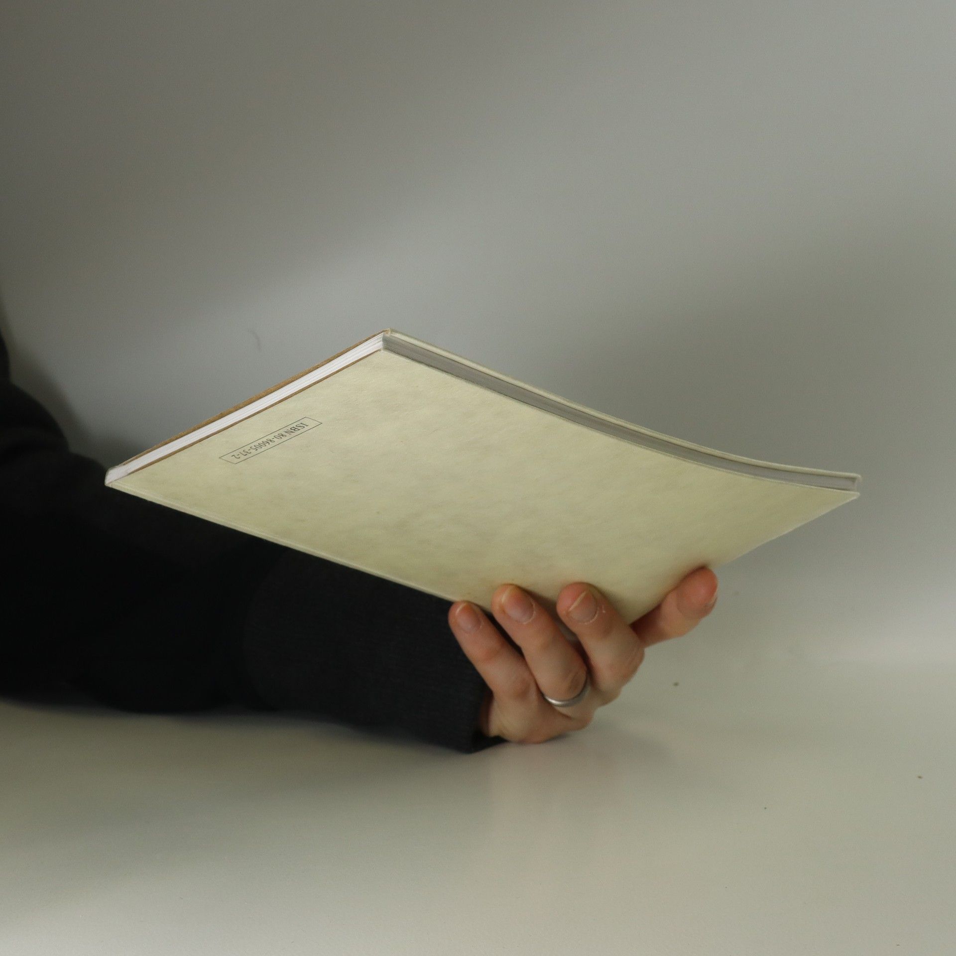 Ivan Dubský Filosof Jan Patočka