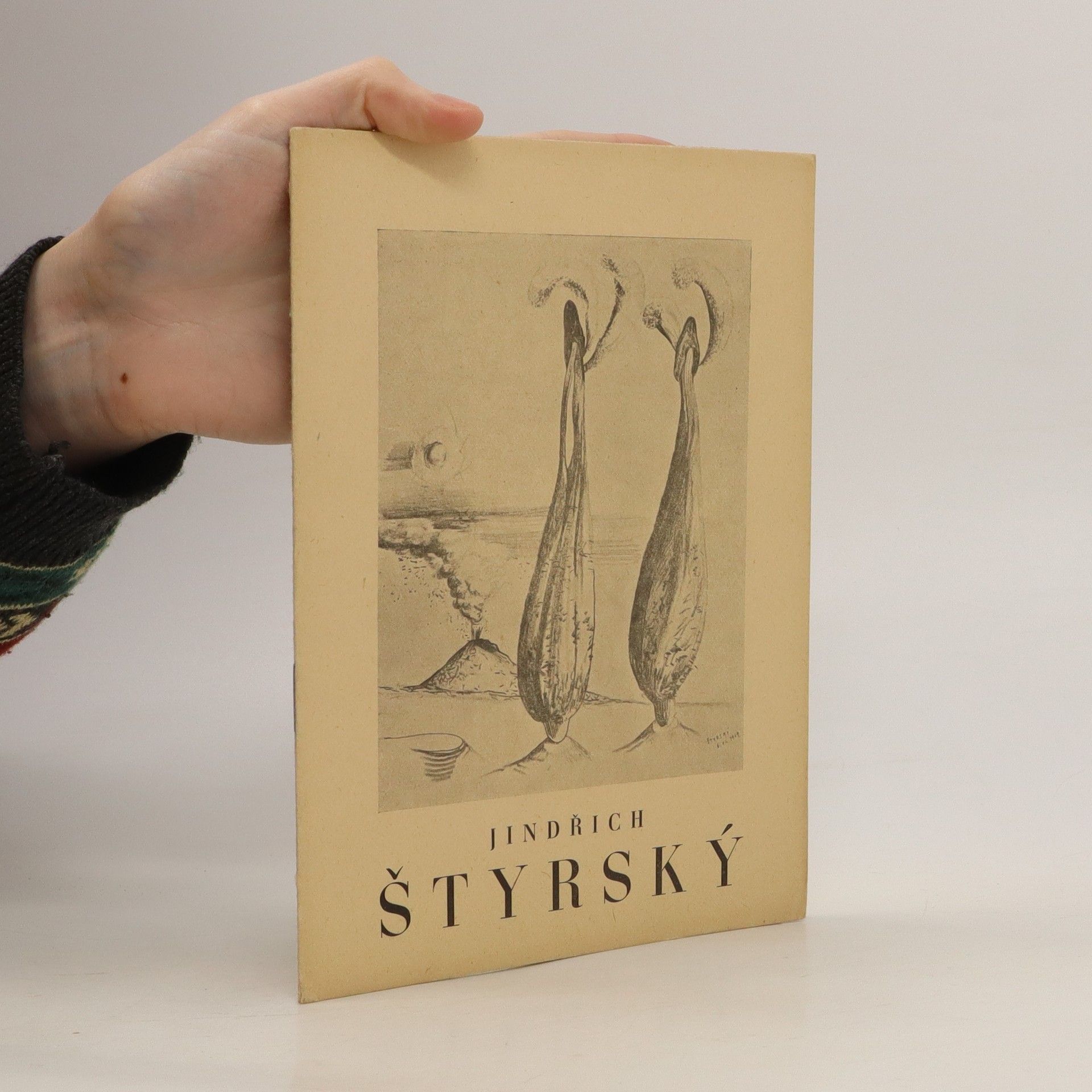 Kolektív autorov Jindřich Štyrský