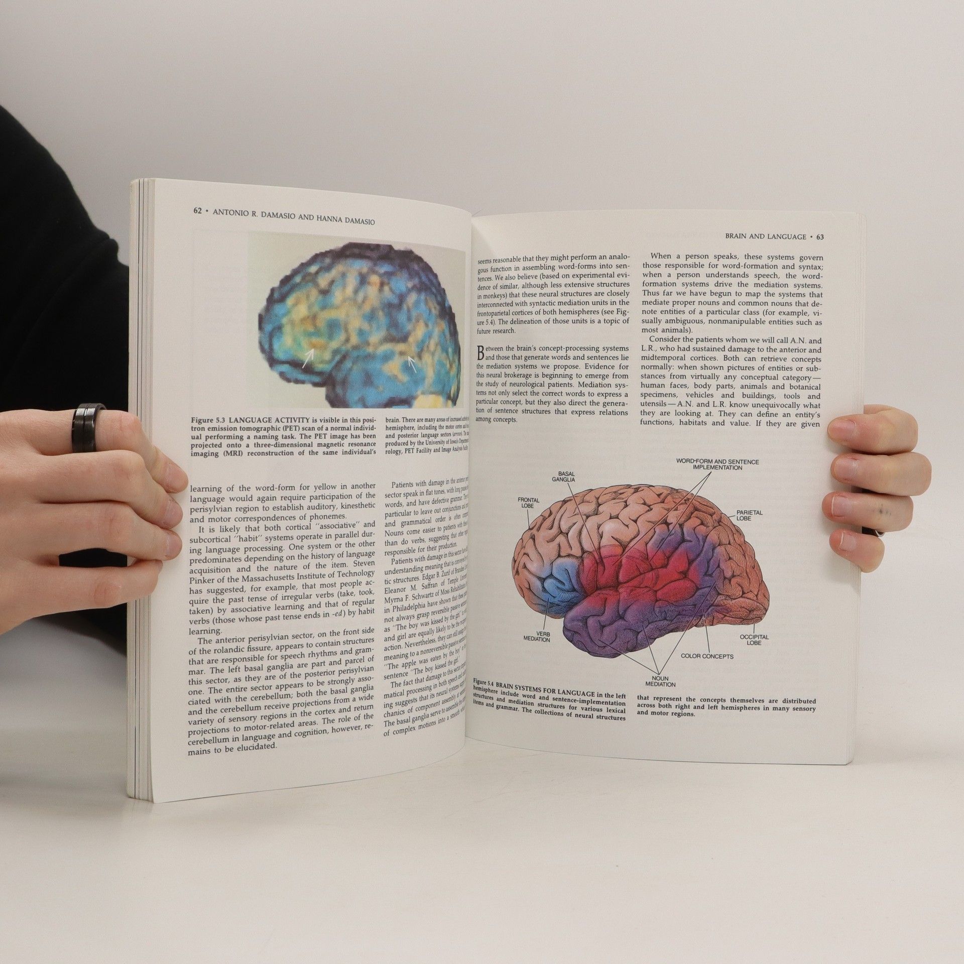 Kolektiv autorů Mind and Brain