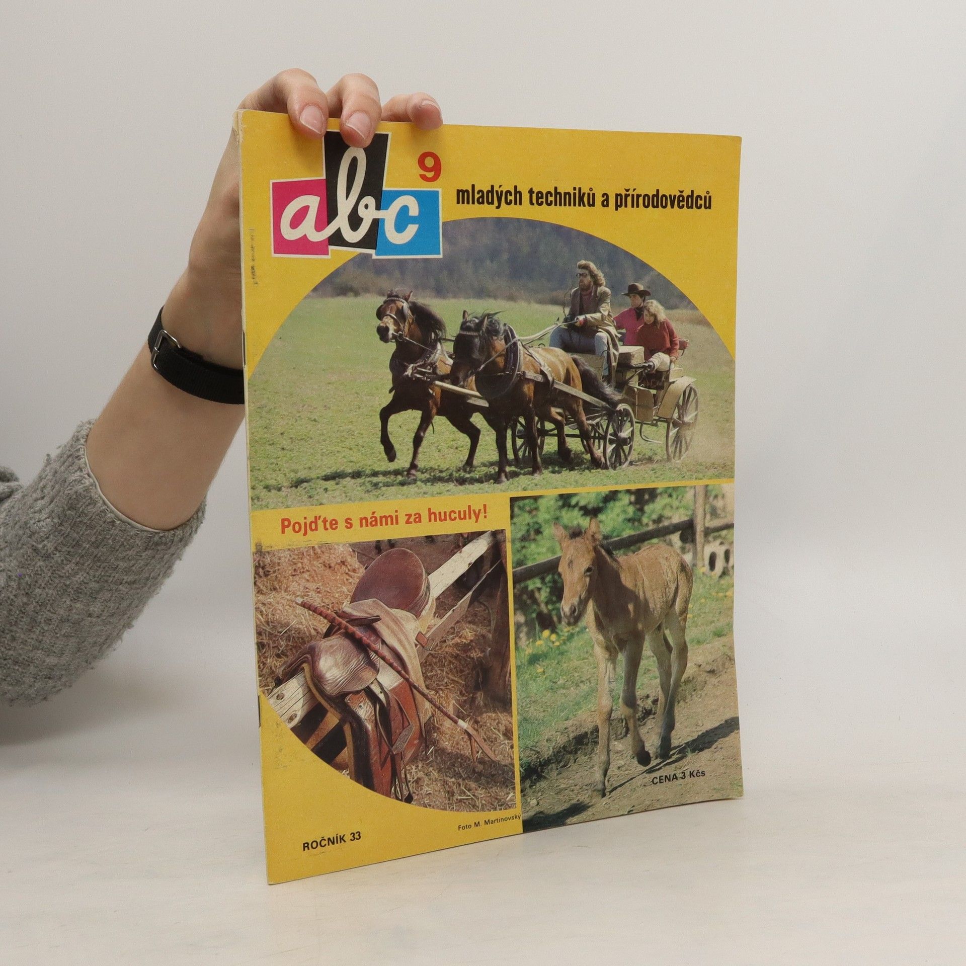 Collectif d'auteurs ABC mladých techniků a přírodovědců 9. Ročník 33