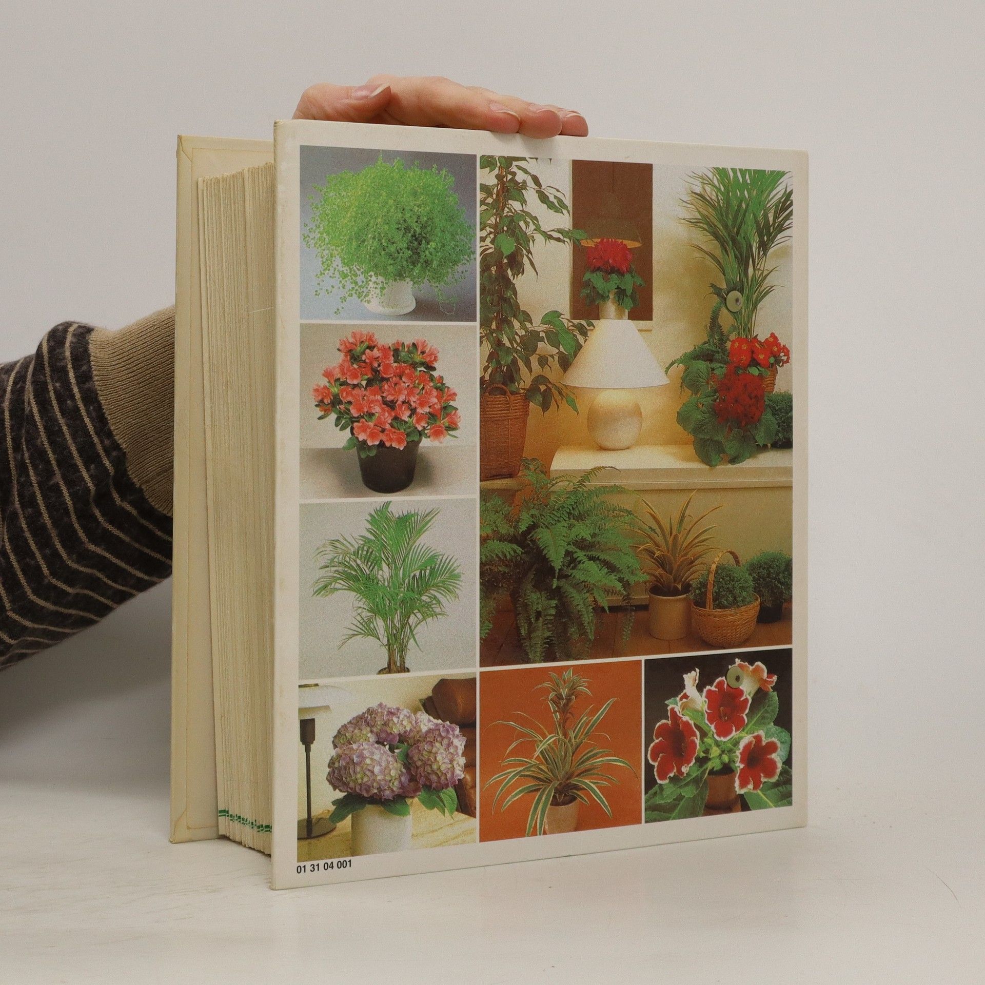 Various authors Pokojové květiny od A do Z