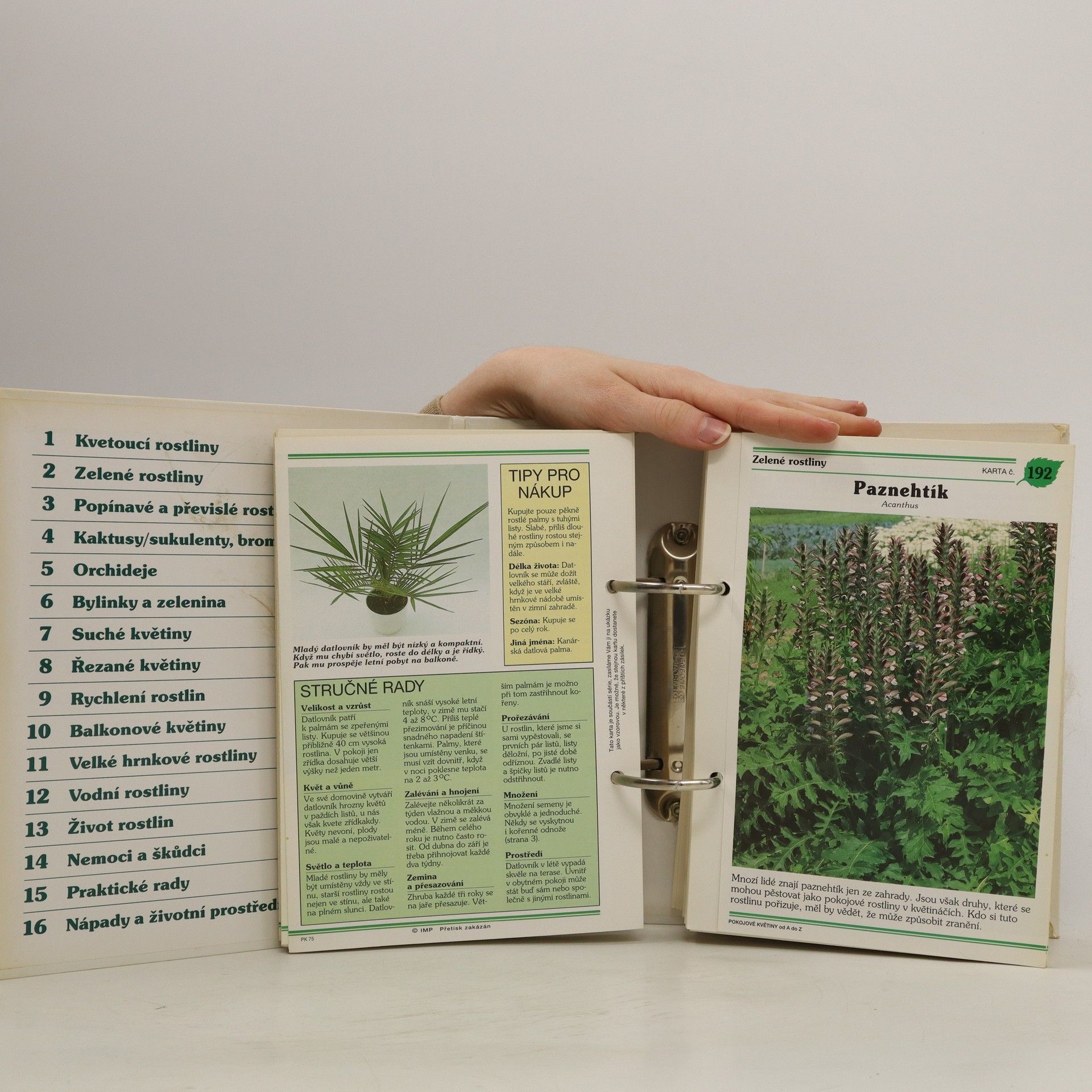Various authors Pokojové květiny od A do Z