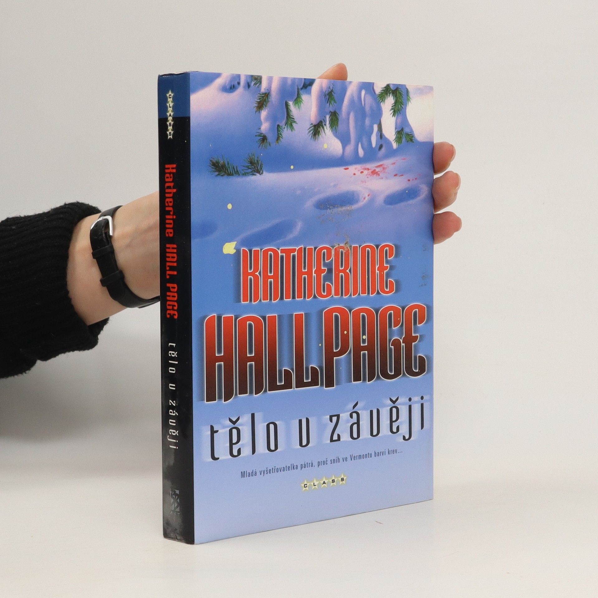 Katherine Hall Page Tělo v závěji