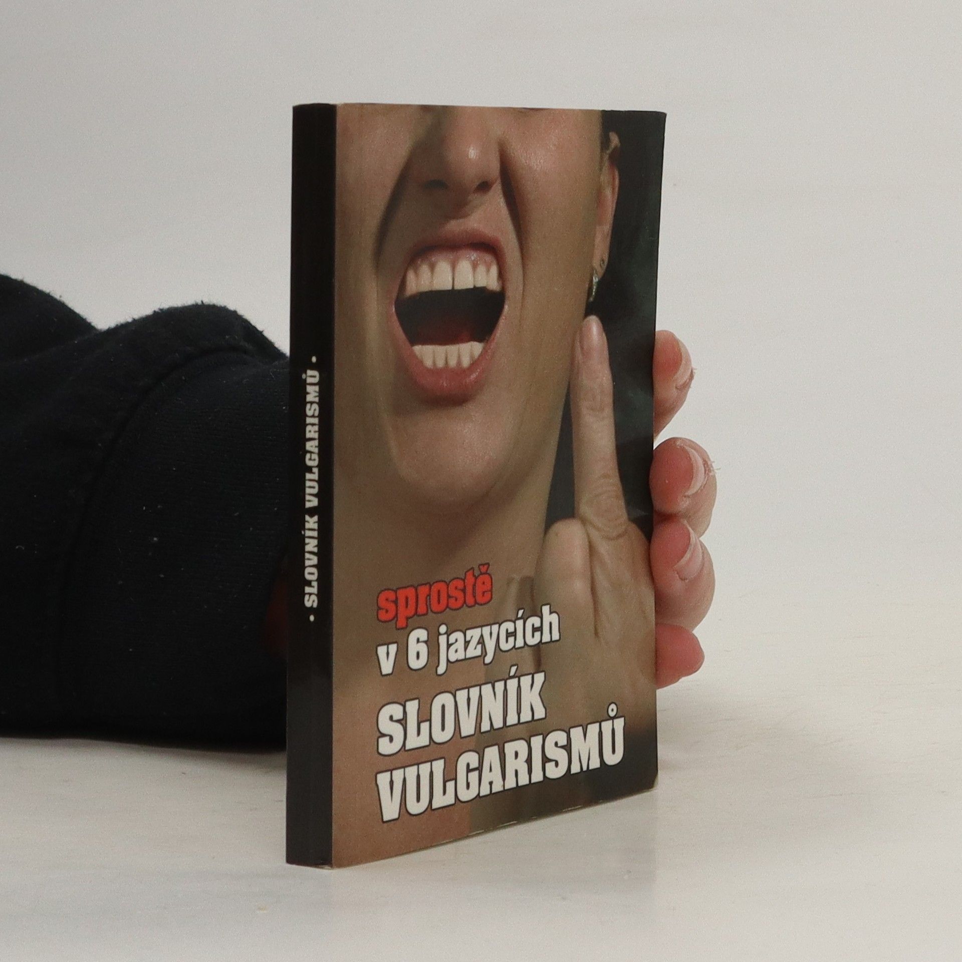 Kryštof Bajger Slovník vulgarismů : sprostě v 6 jazycích