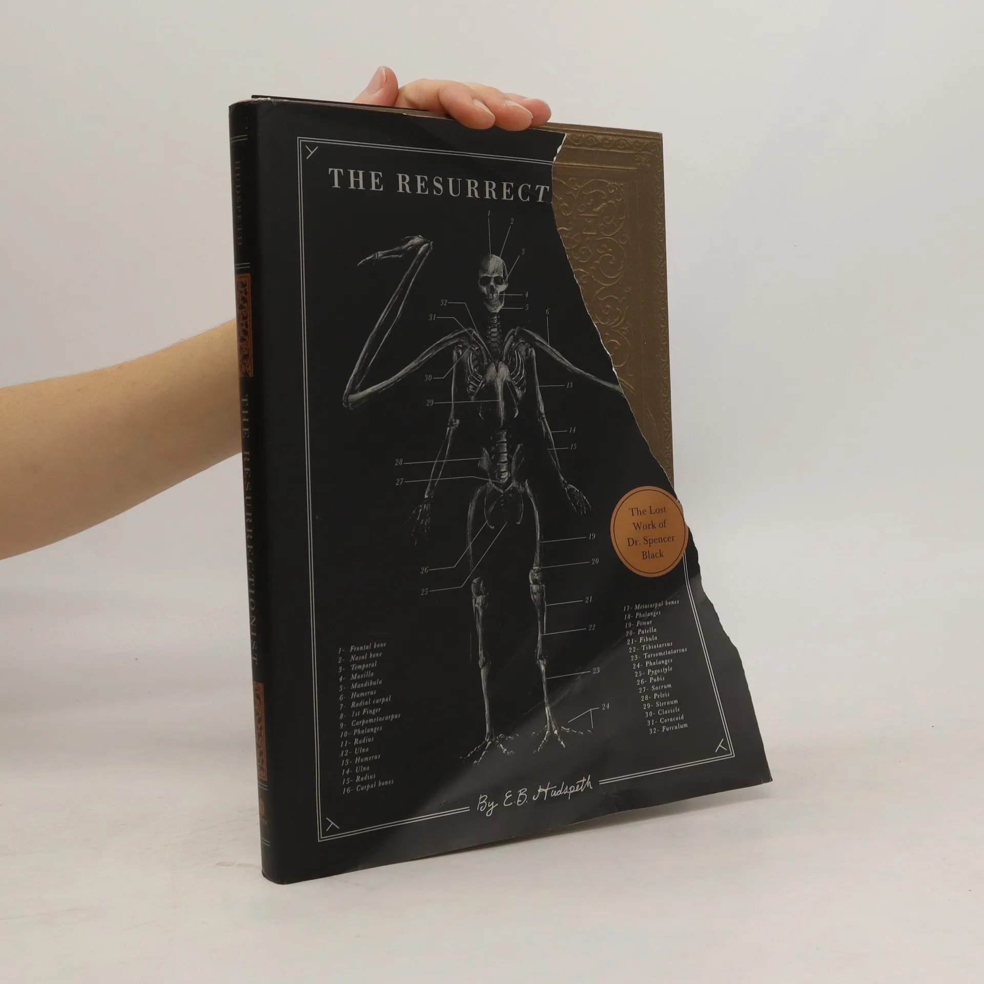 The Resurrectionist : The Lost Work Of Dr. Spencer Black - E B Hudspeth ...