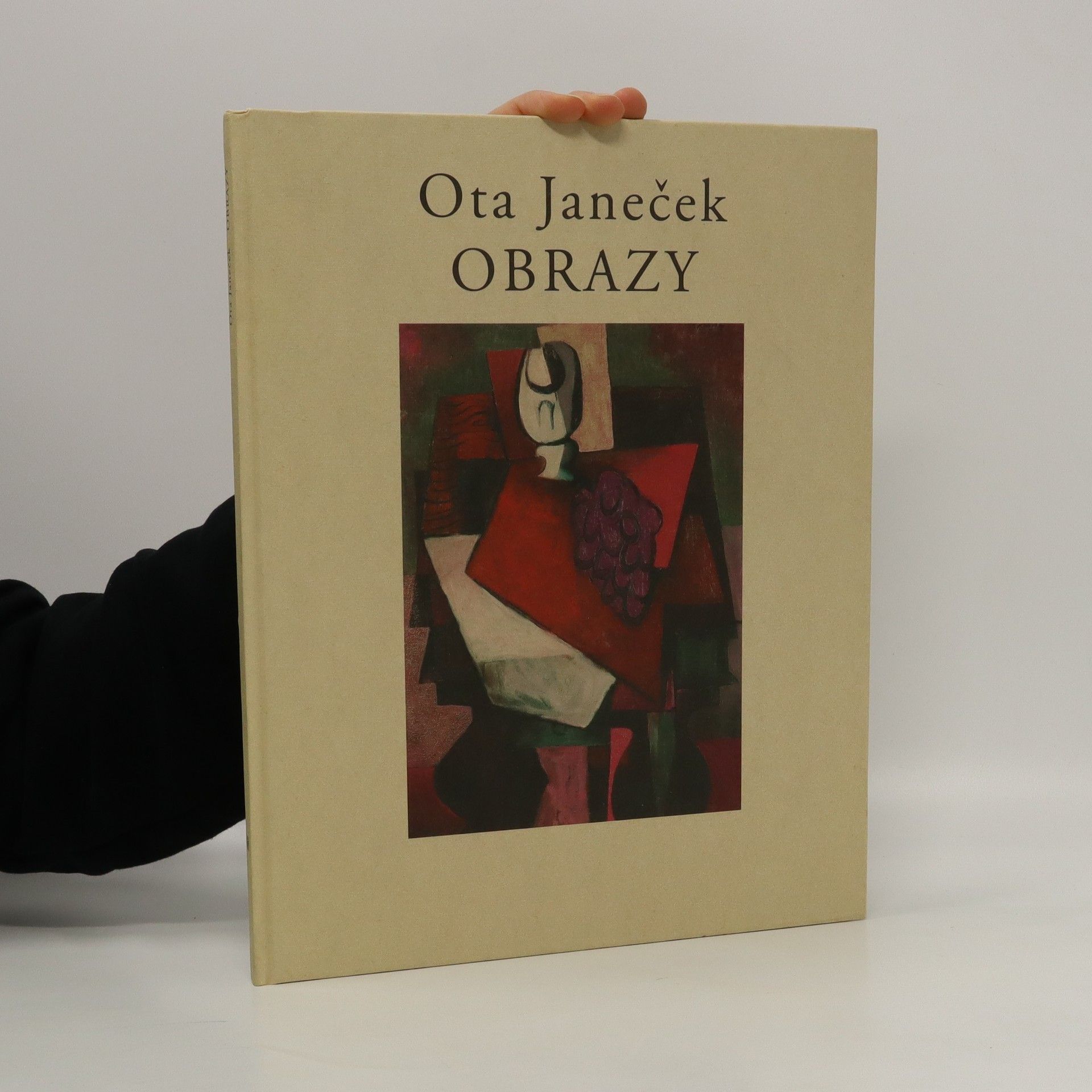 Ota Janeček Obrazy