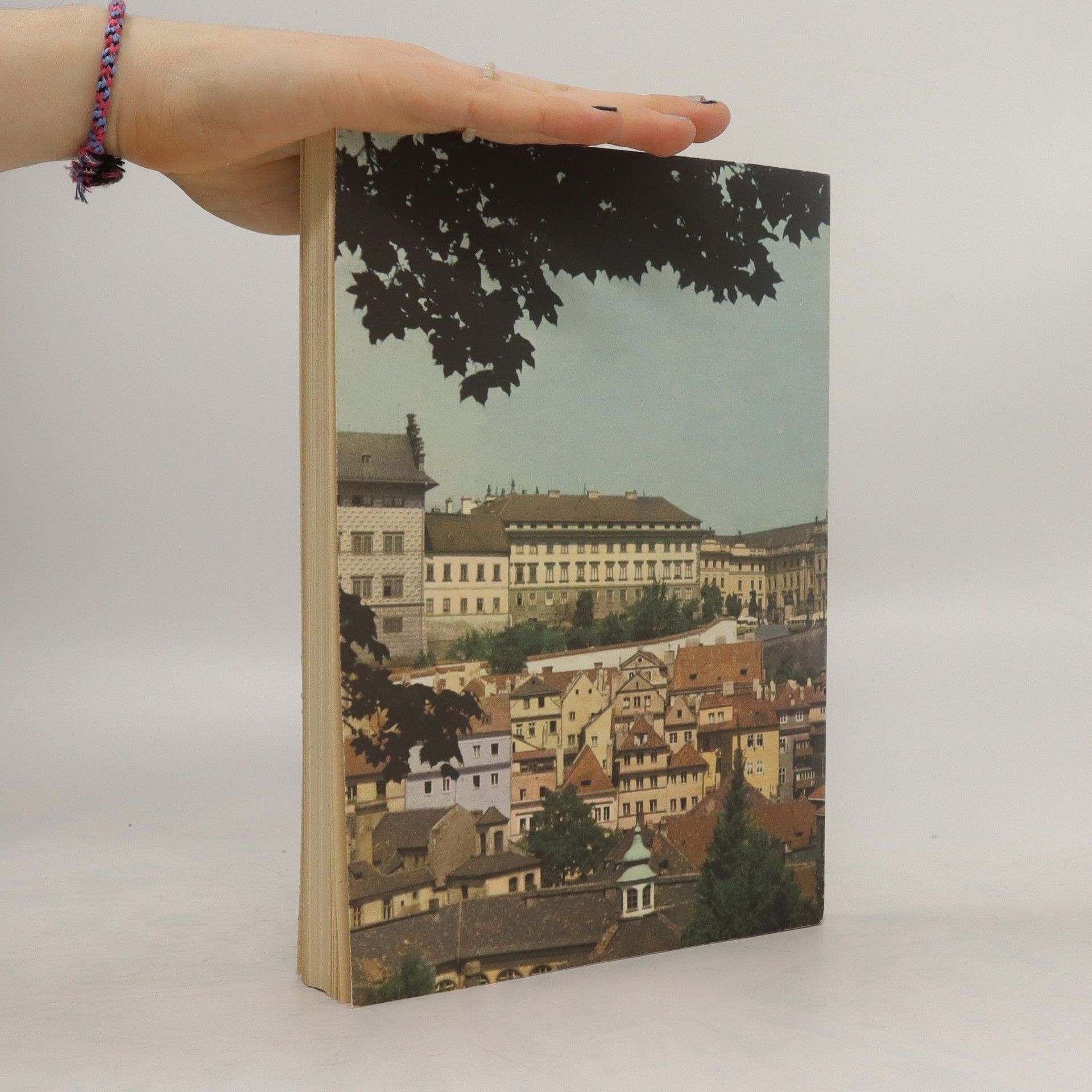 Collectif d'auteurs Praha. Jídlo, pití, zábava
