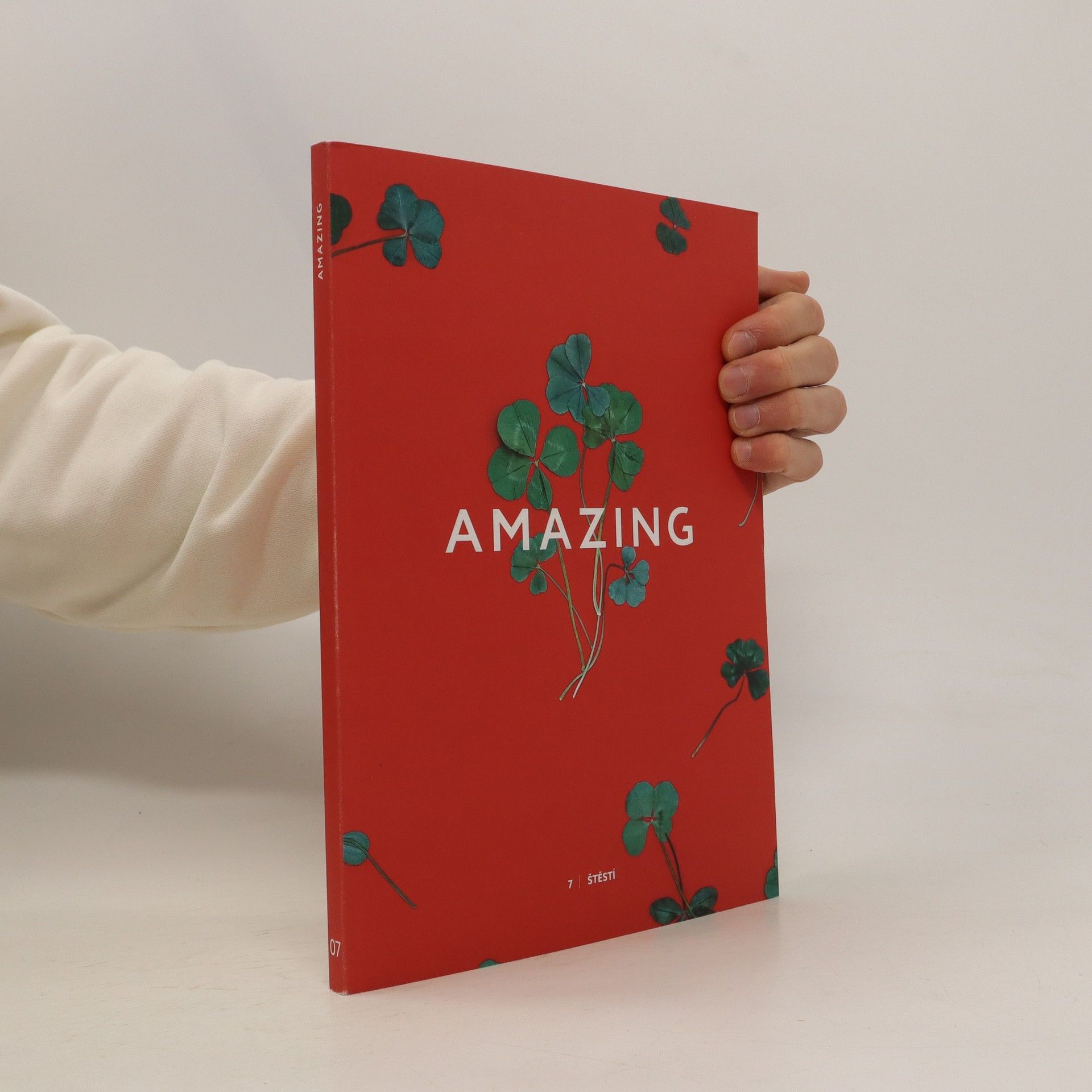 Kolektív autorov Amazing 7 - Štěstí