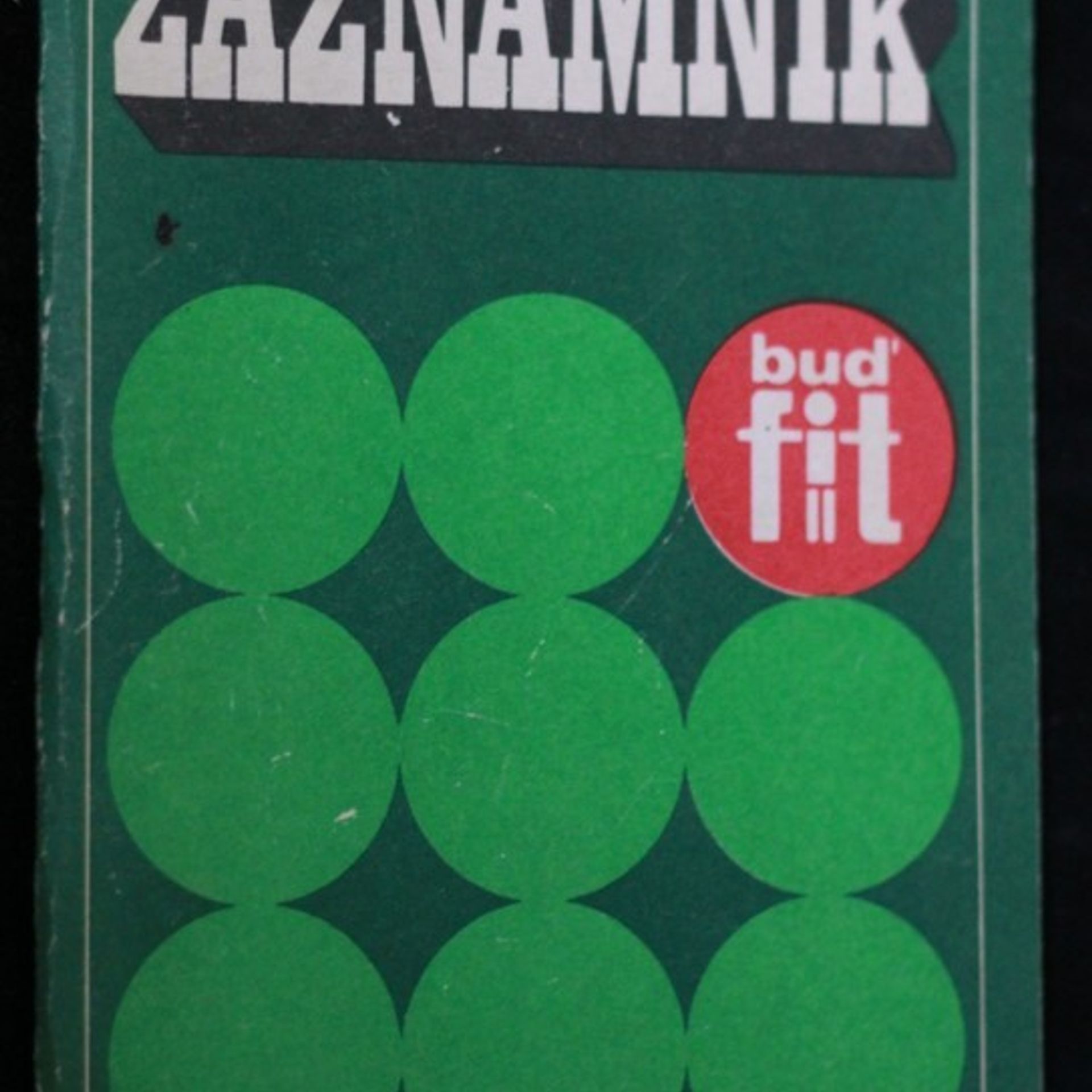 Kolektiv autorů Záznamník