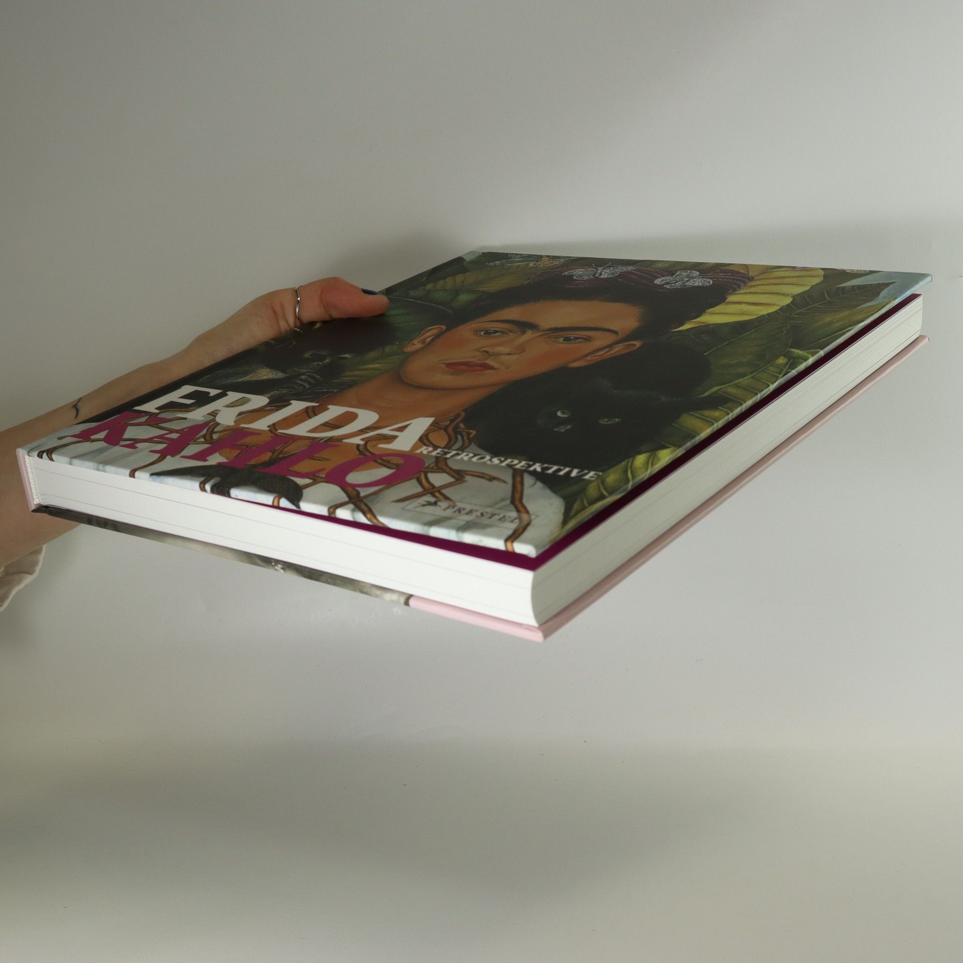 Auteurscollectief Frida Kahlo. Retrospektive