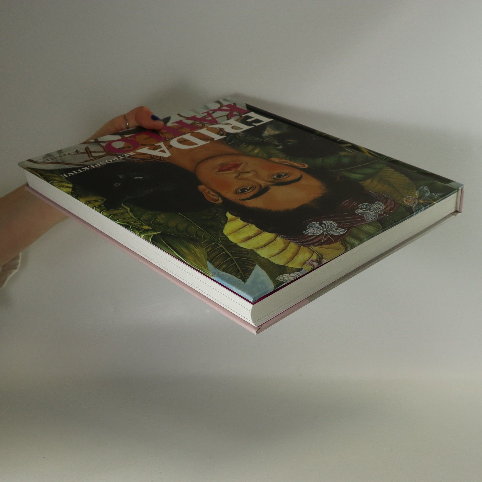 Auteurscollectief Frida Kahlo. Retrospektive