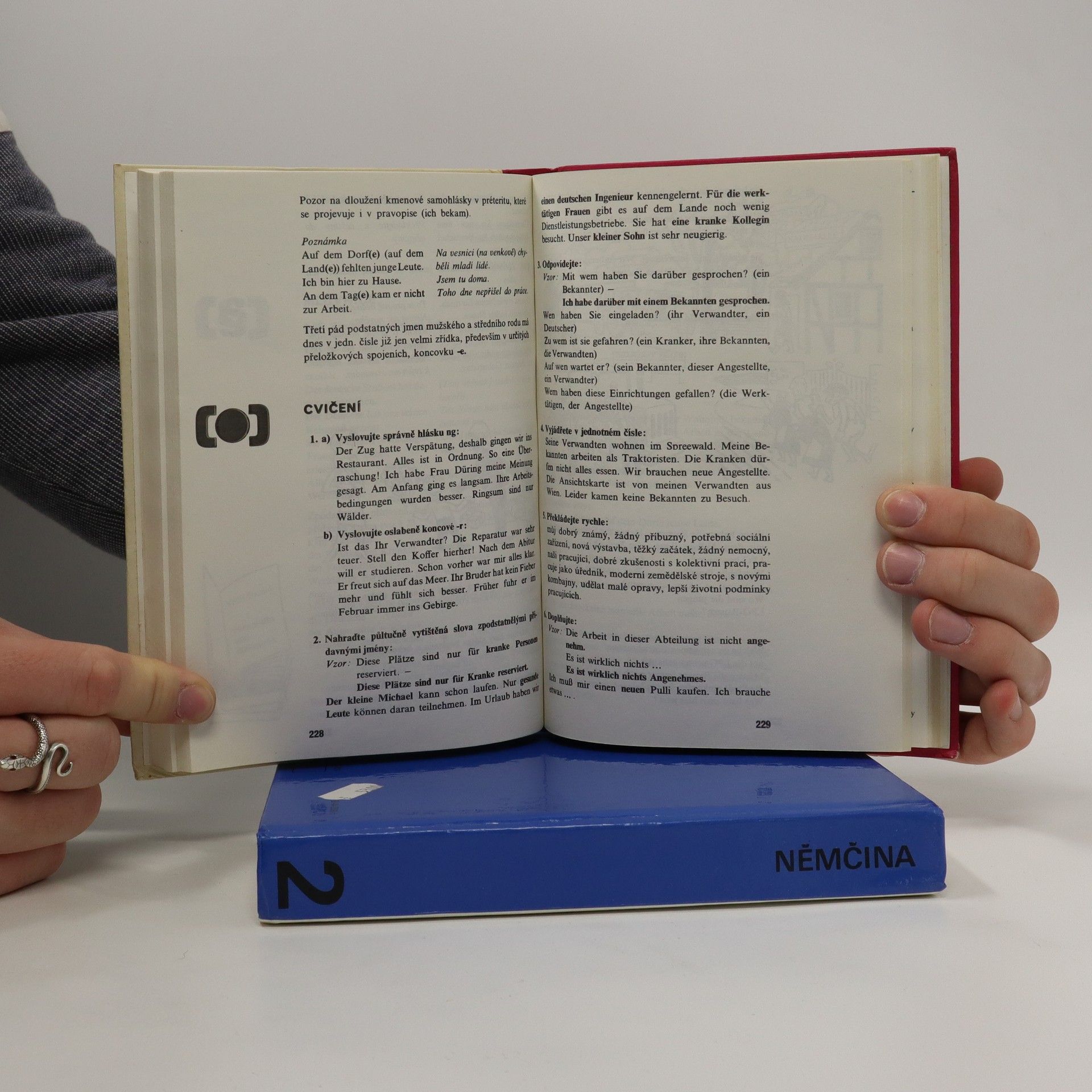 Autorenkollektiv Němčina pro jazykové školy (komplet 1. a 2. díl)