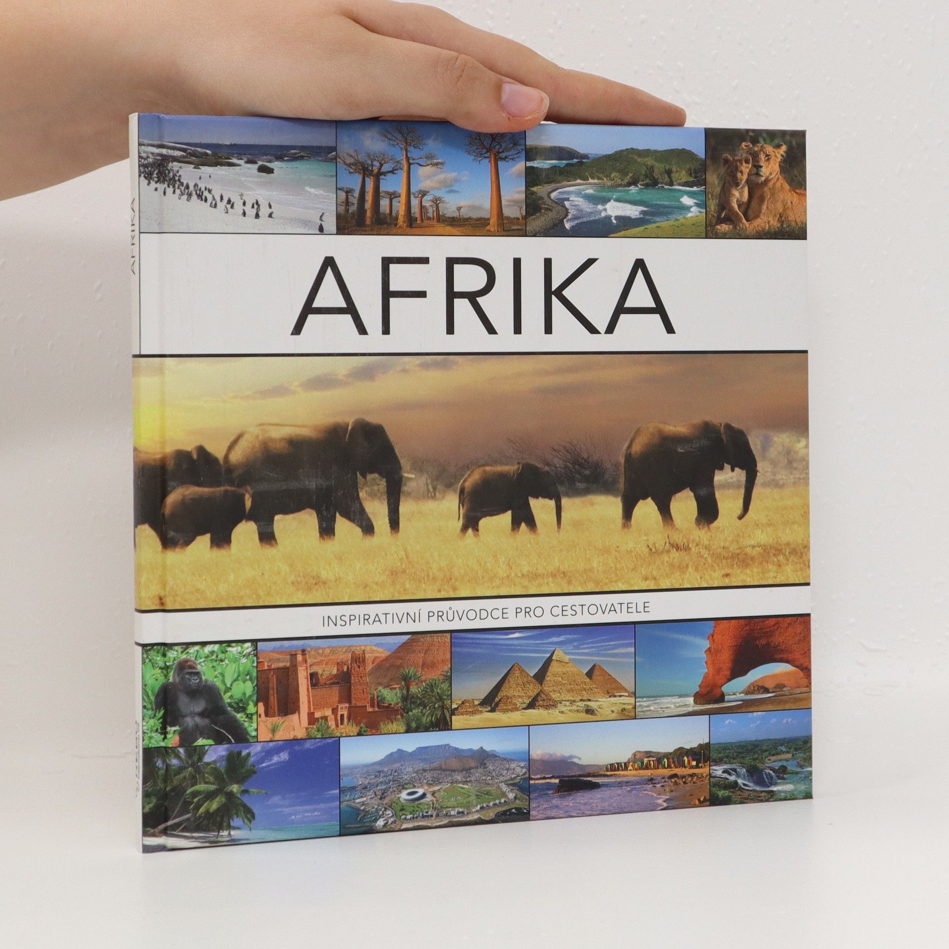 Joyce Koster Afrika