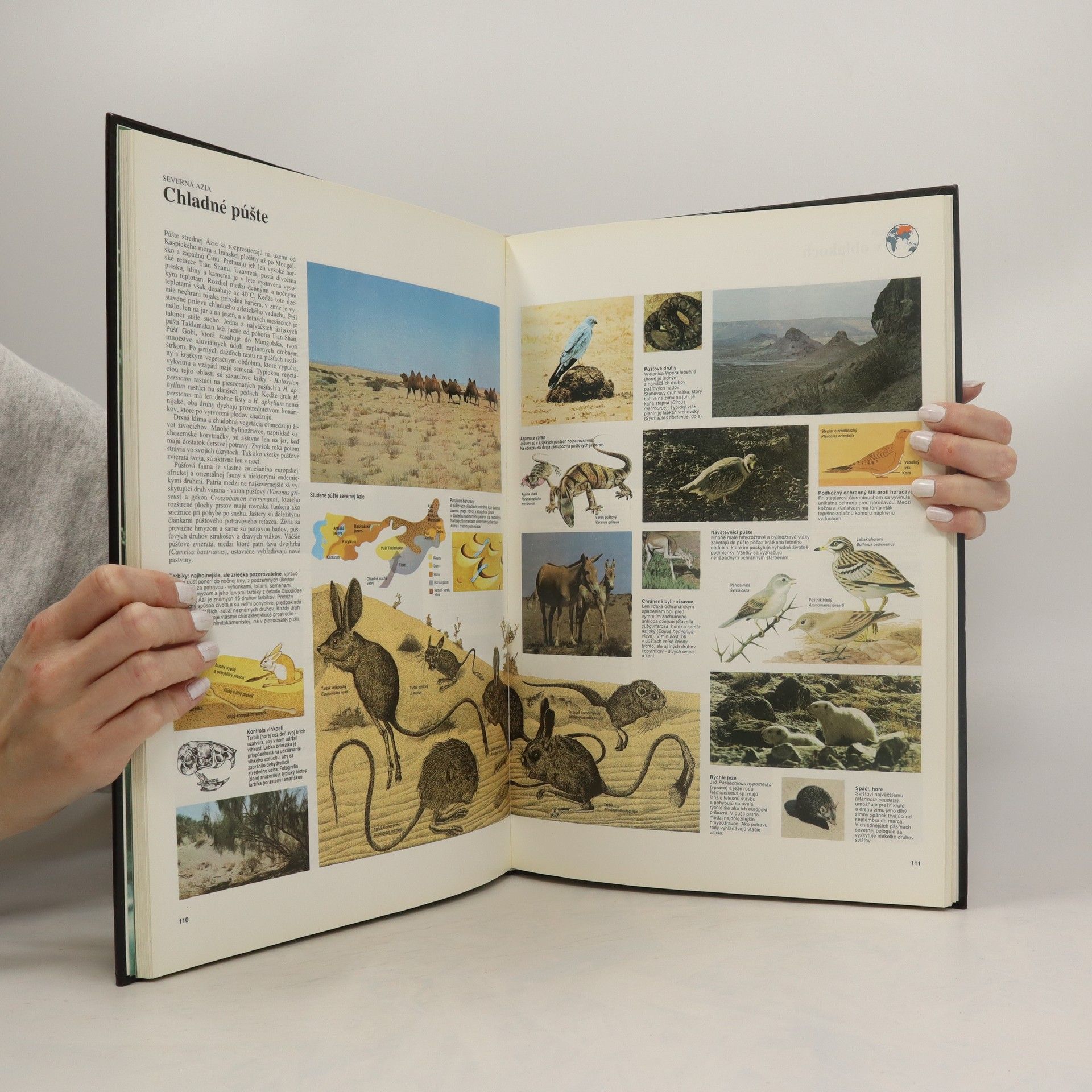 Autorenkollektiv Veľký atlas živočíchov