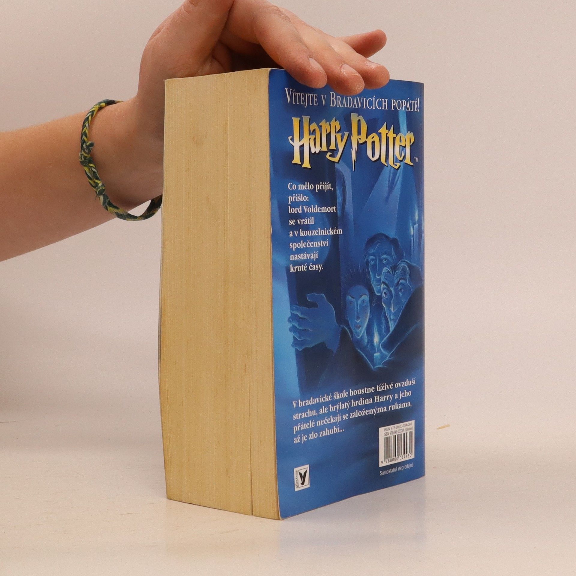 Pavel Medek Harry Potter a Fénixův řád