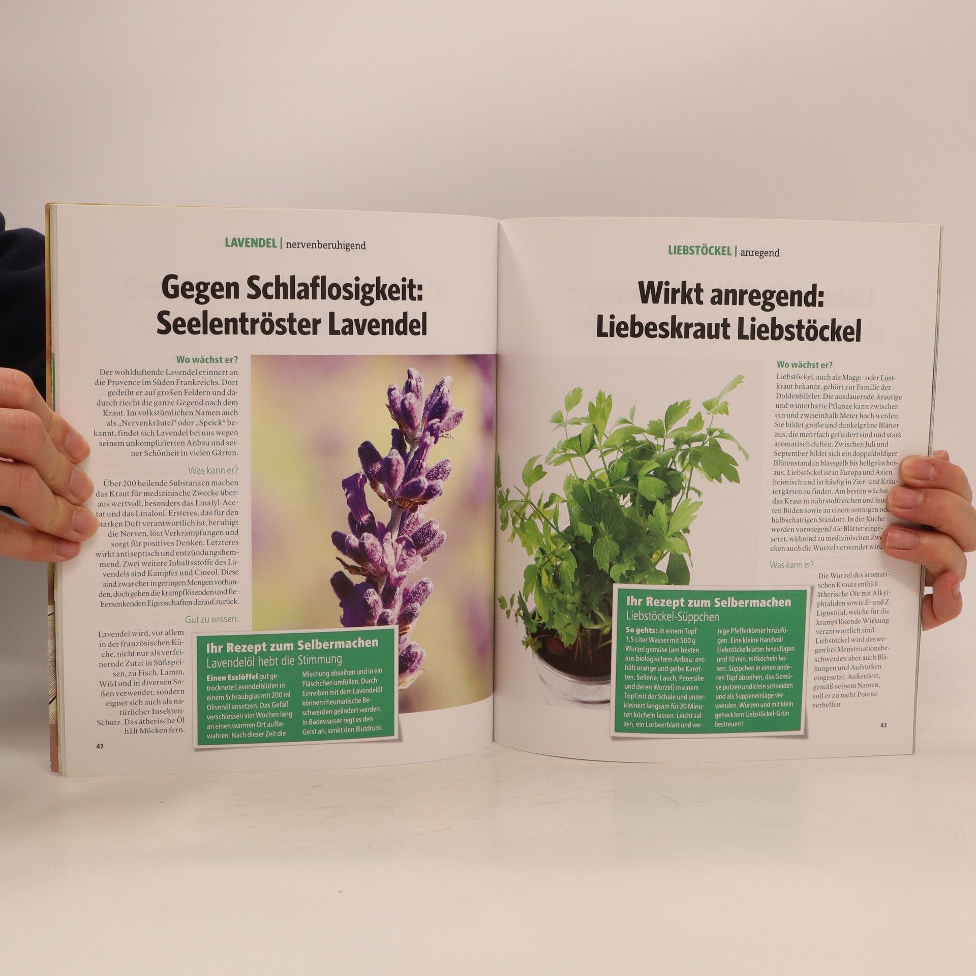 Autorenkollektiv Gesund & fit. Gesund dank Pflanzenkraft