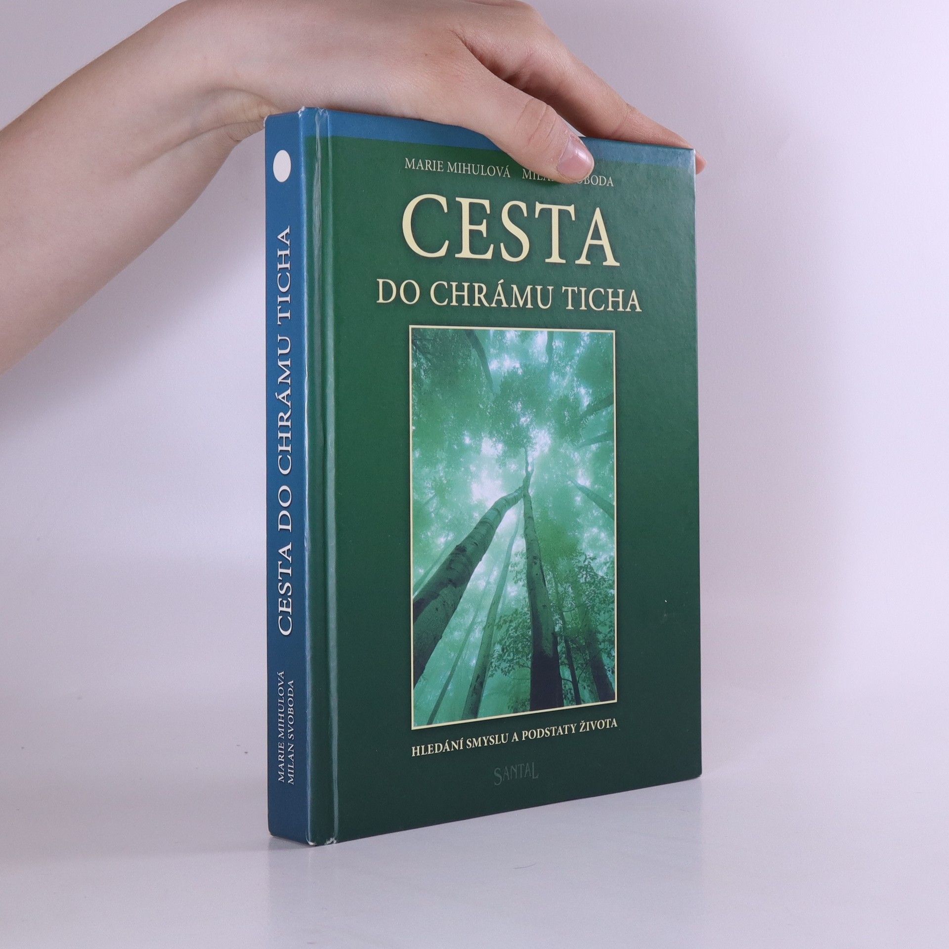 M. Mihulová Cesta do chrámu ticha: Hledání smyslu a podstaty života