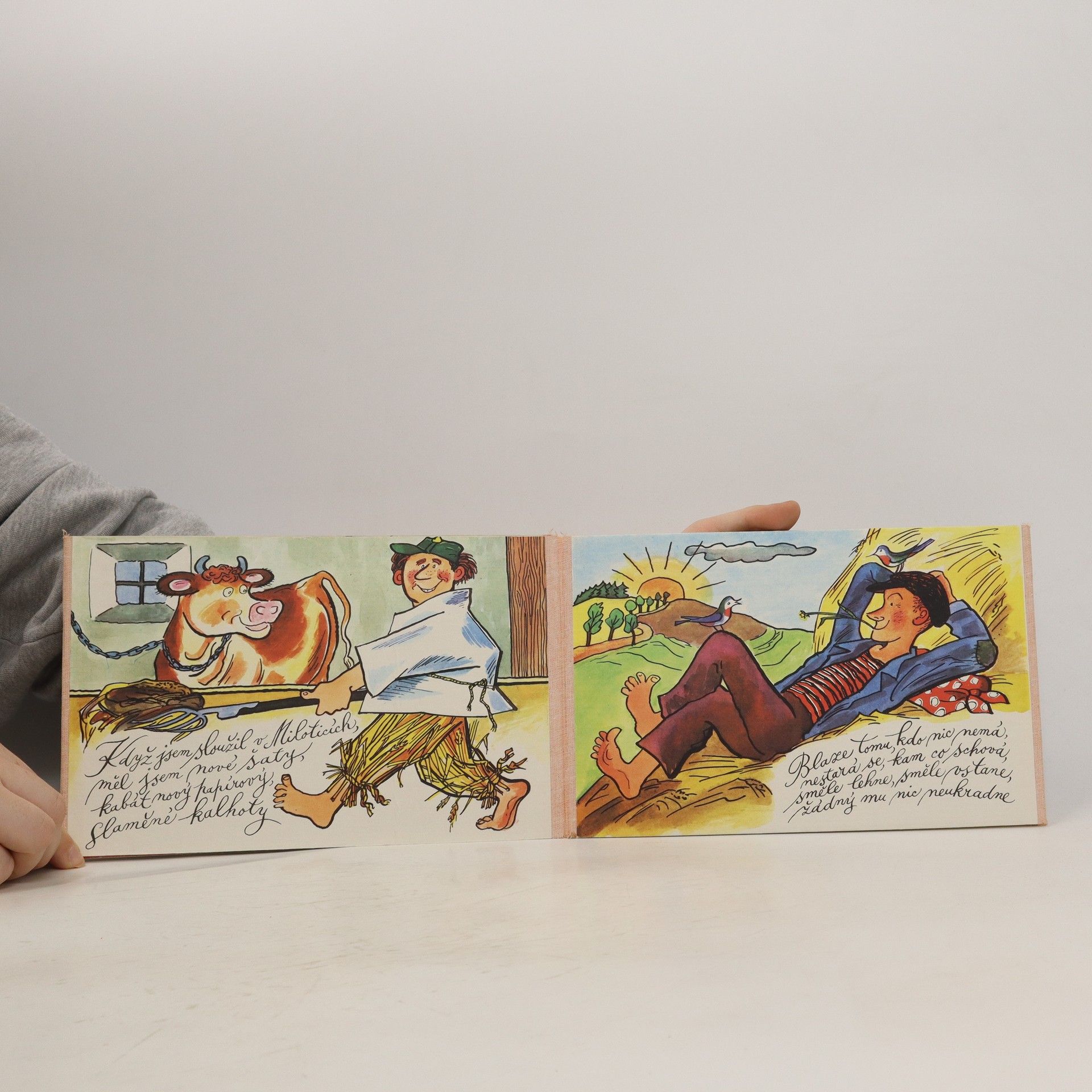 Alena Janoušková Prší, prší pršavec