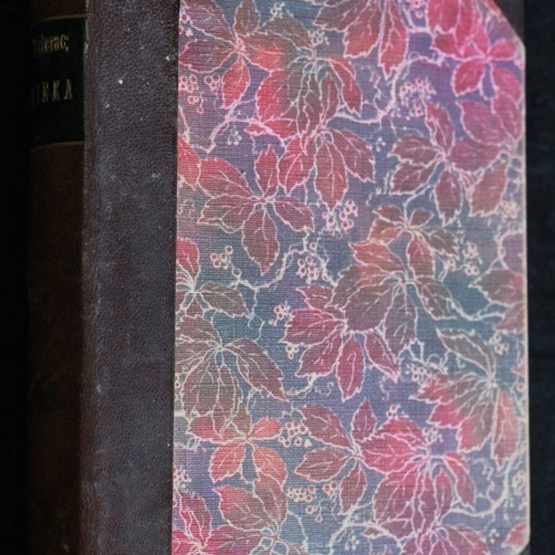 Abdurezak Hifzi Bjelevac Minka