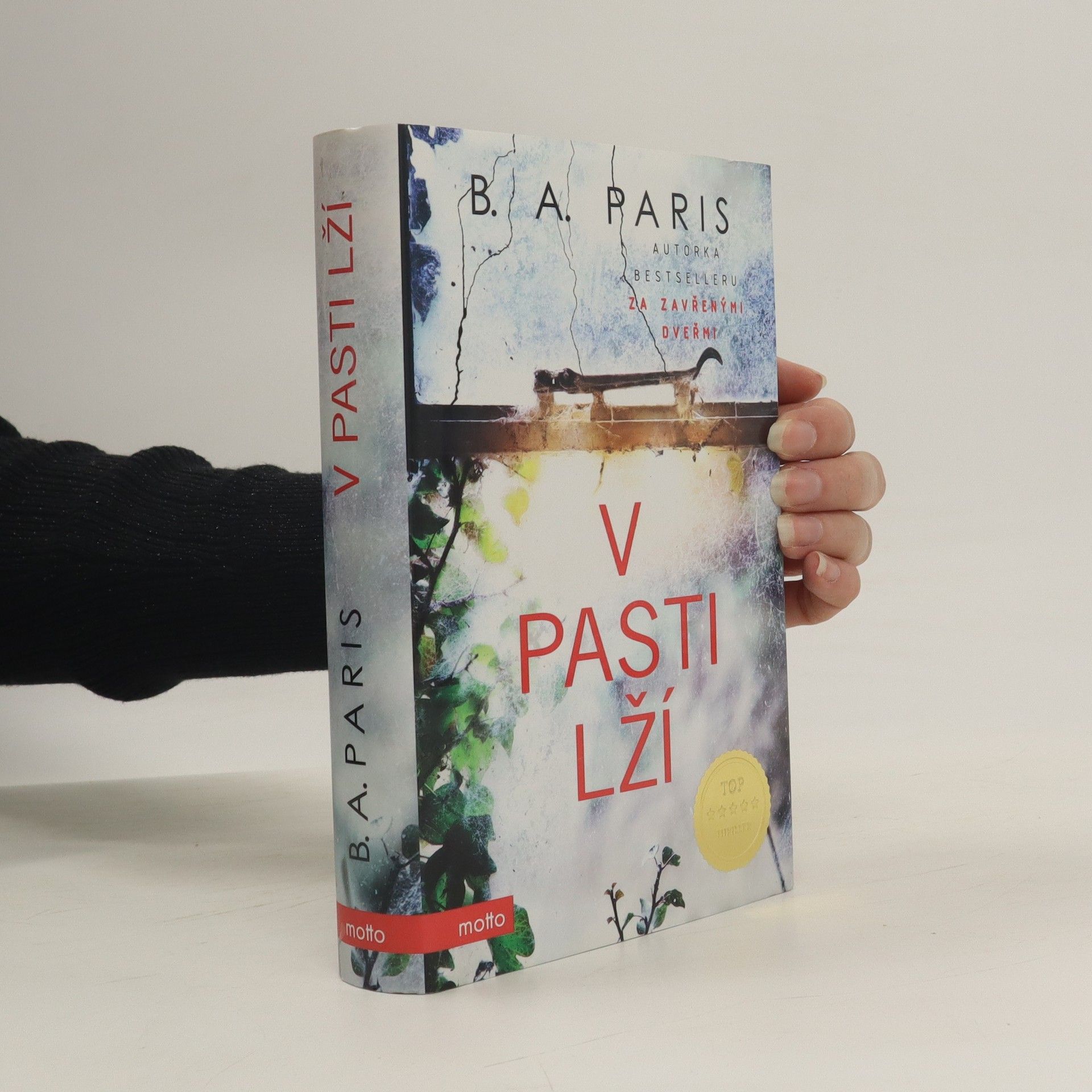 B.A. Paris V pasti lží