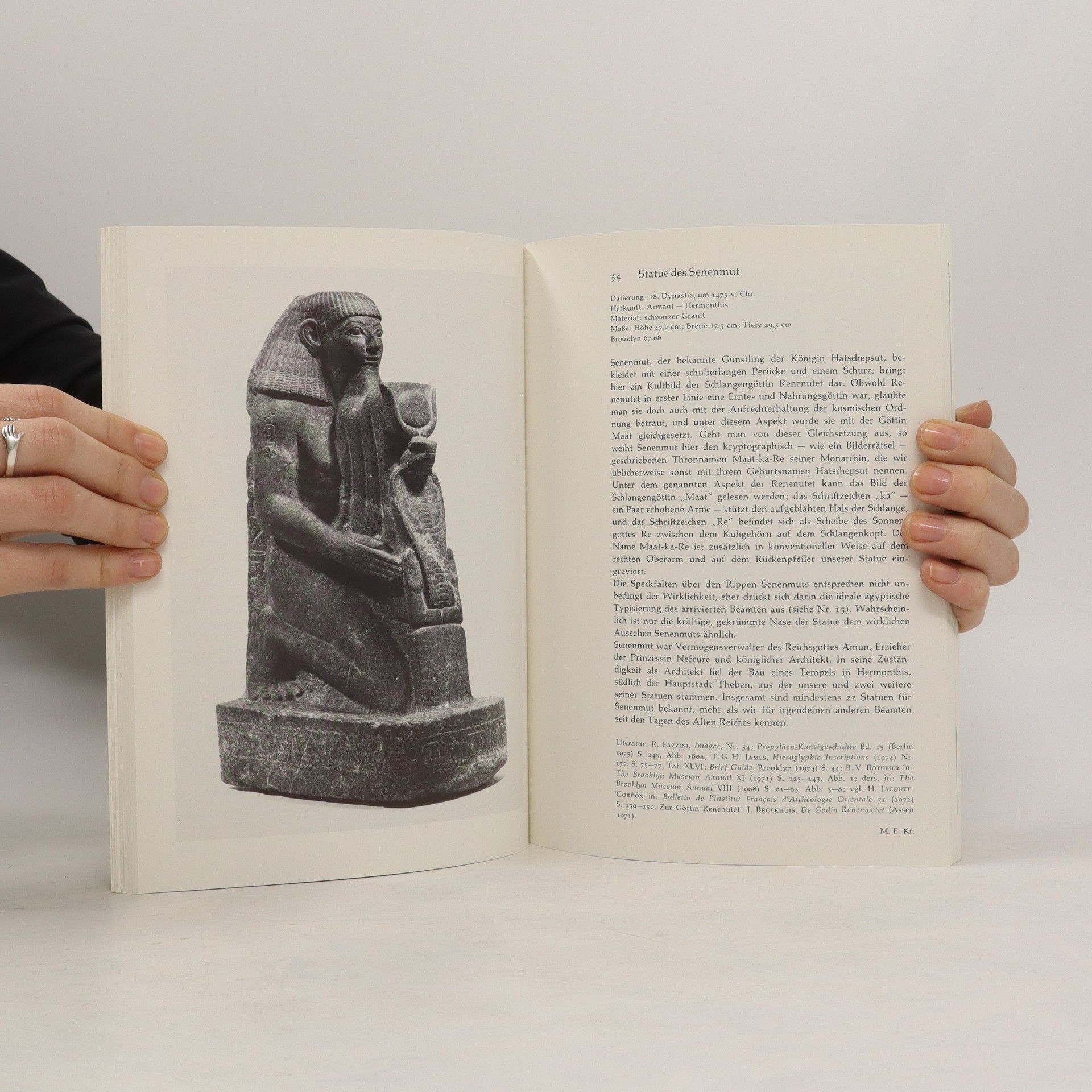 Autorenkollektiv Ägyptische Kunst aus dem Brooklyn Museum