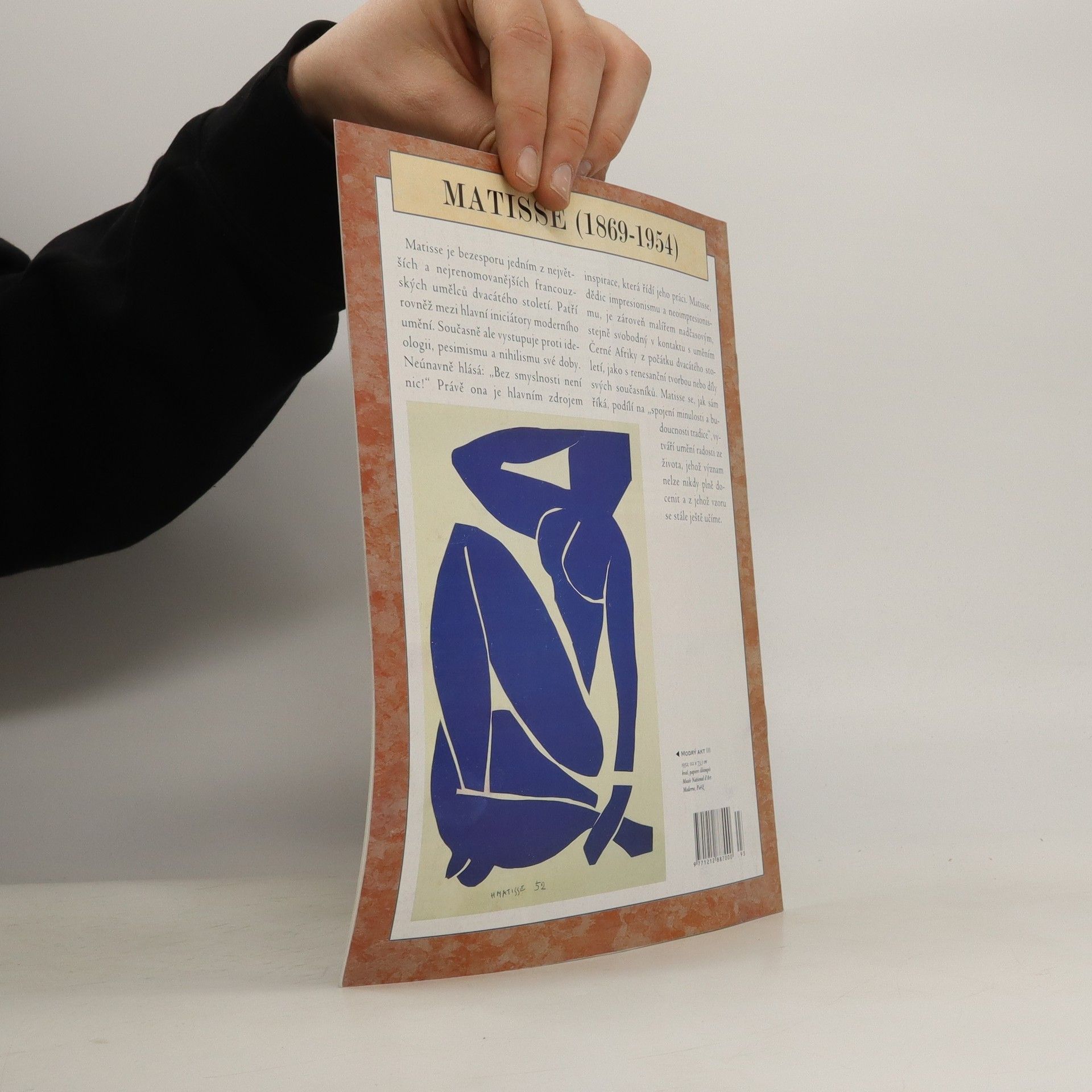Autorenkollektiv Největší malíři. Život, inspirace a dílo. Henri Matisse 93