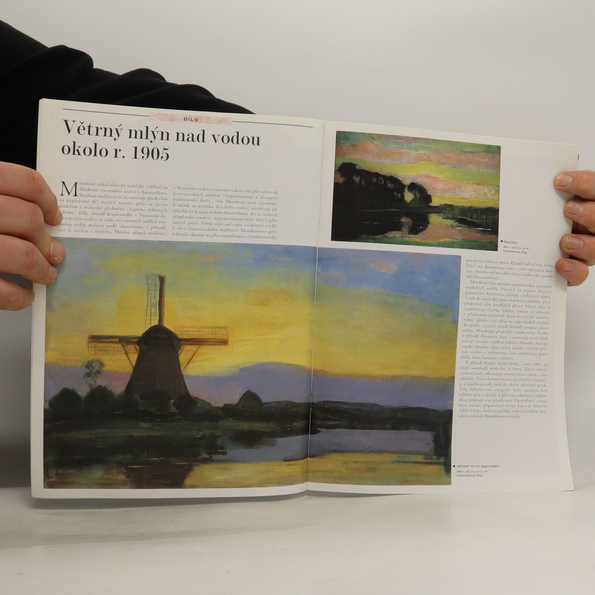 Autorenkollektiv Největší malíři. Život, inspirace a dílo. Piet Mondrian 104