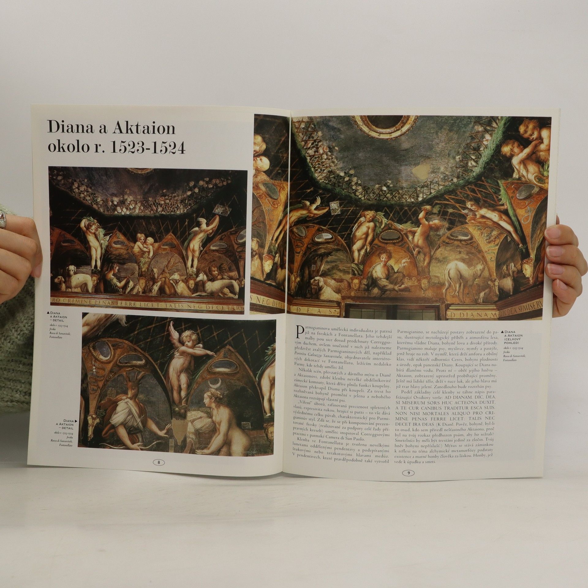 Various authors Největší malíři 58. Parmigianino