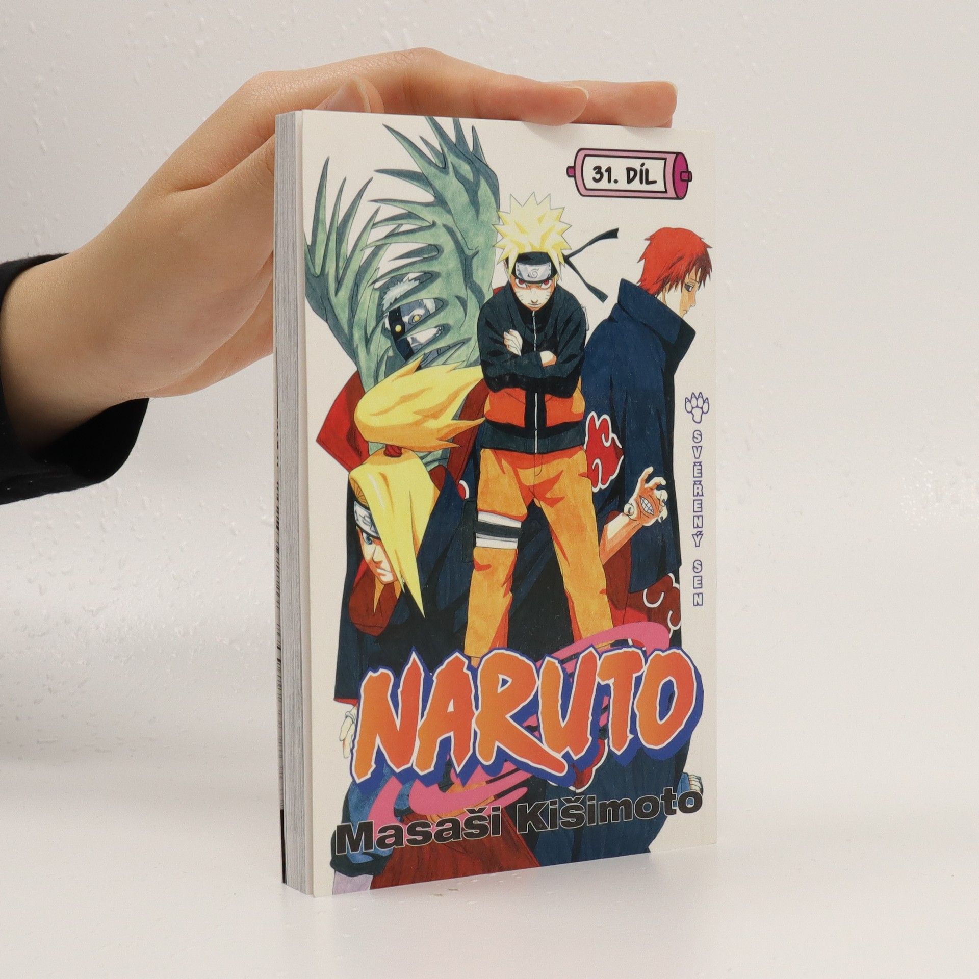 Masashi Kishimoto Naruto. 31. díl, Svěřený sen