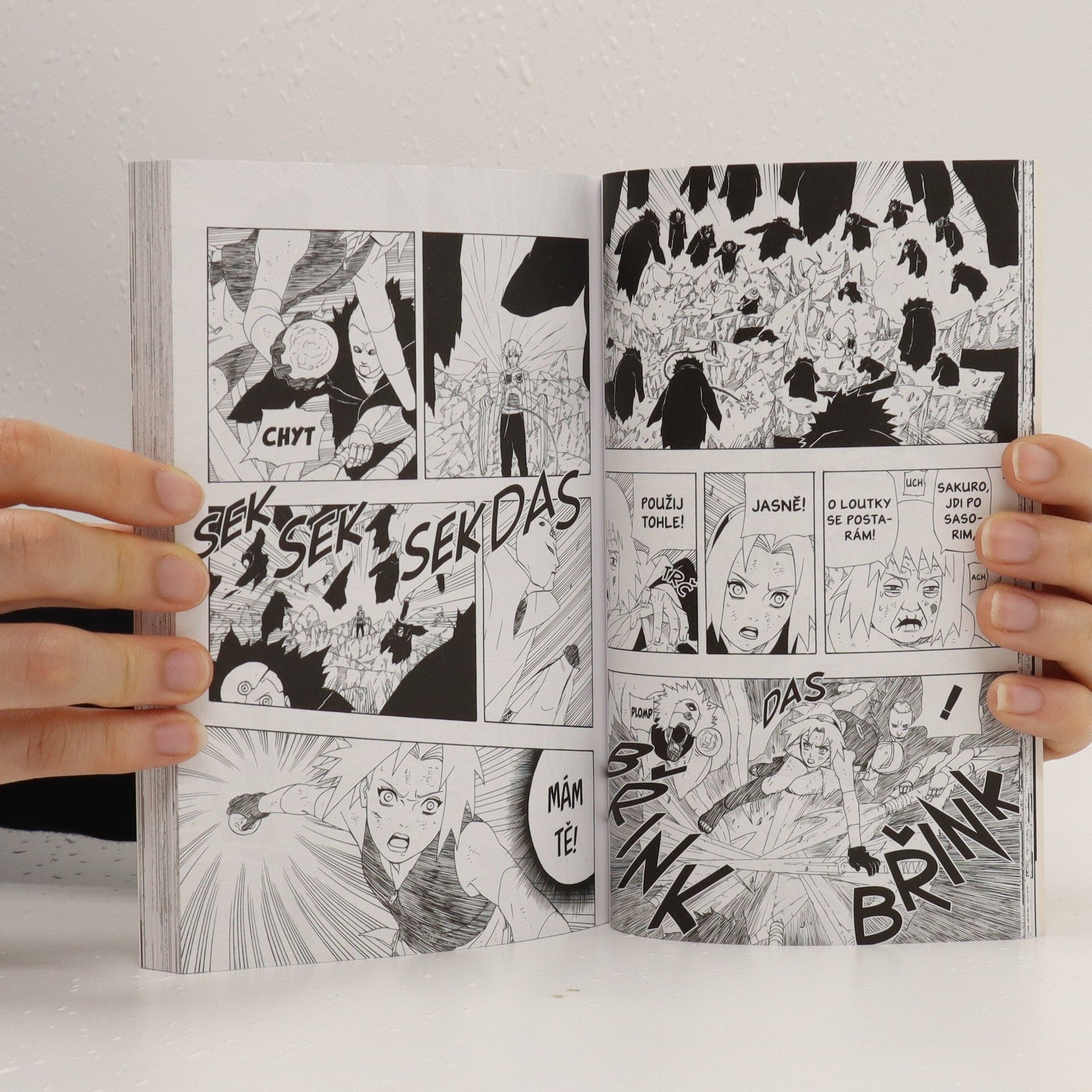 Masashi Kishimoto Naruto. 31. díl, Svěřený sen