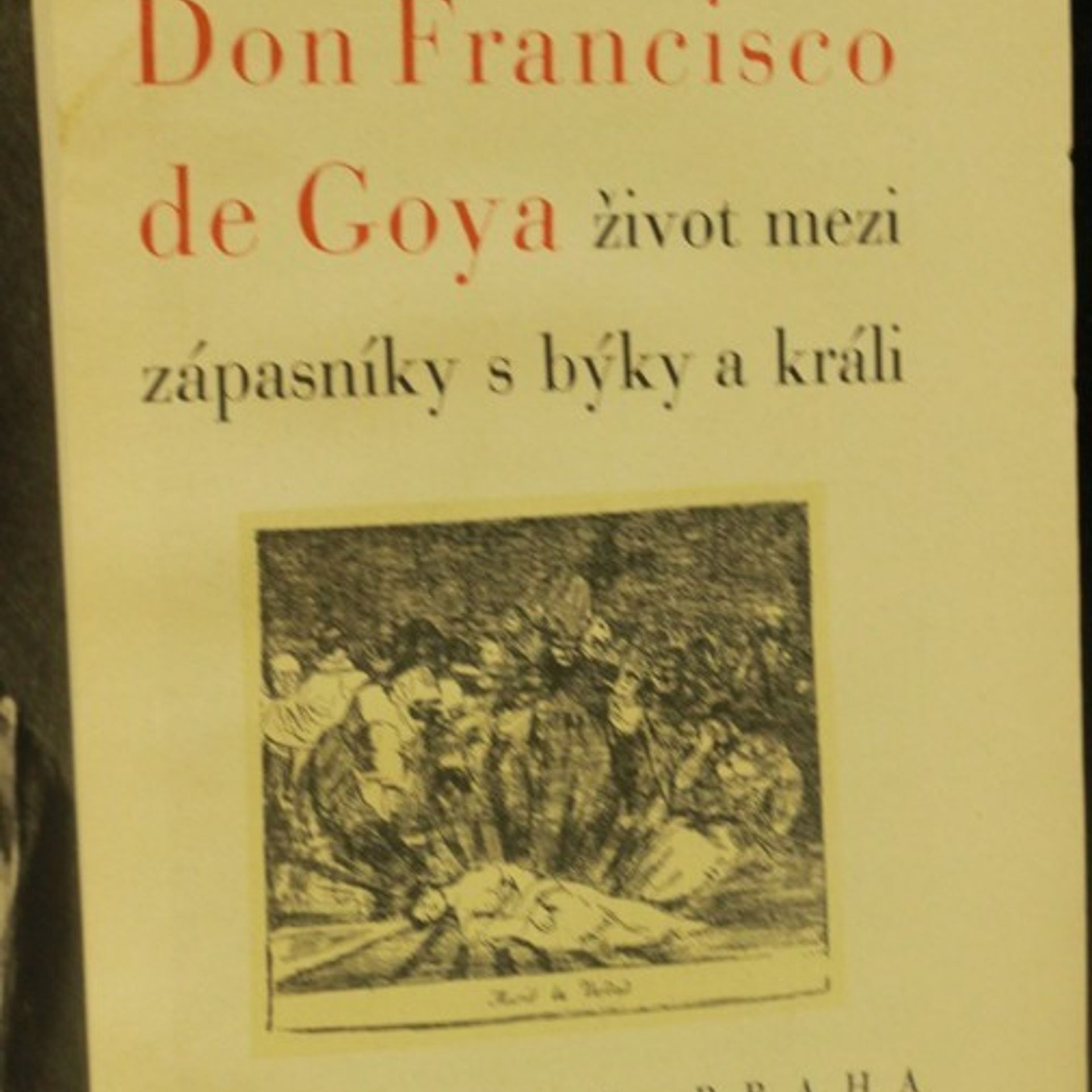 Manfred Schneider Don Francisco de Goya. Život mezi zápasníky s býky a králi