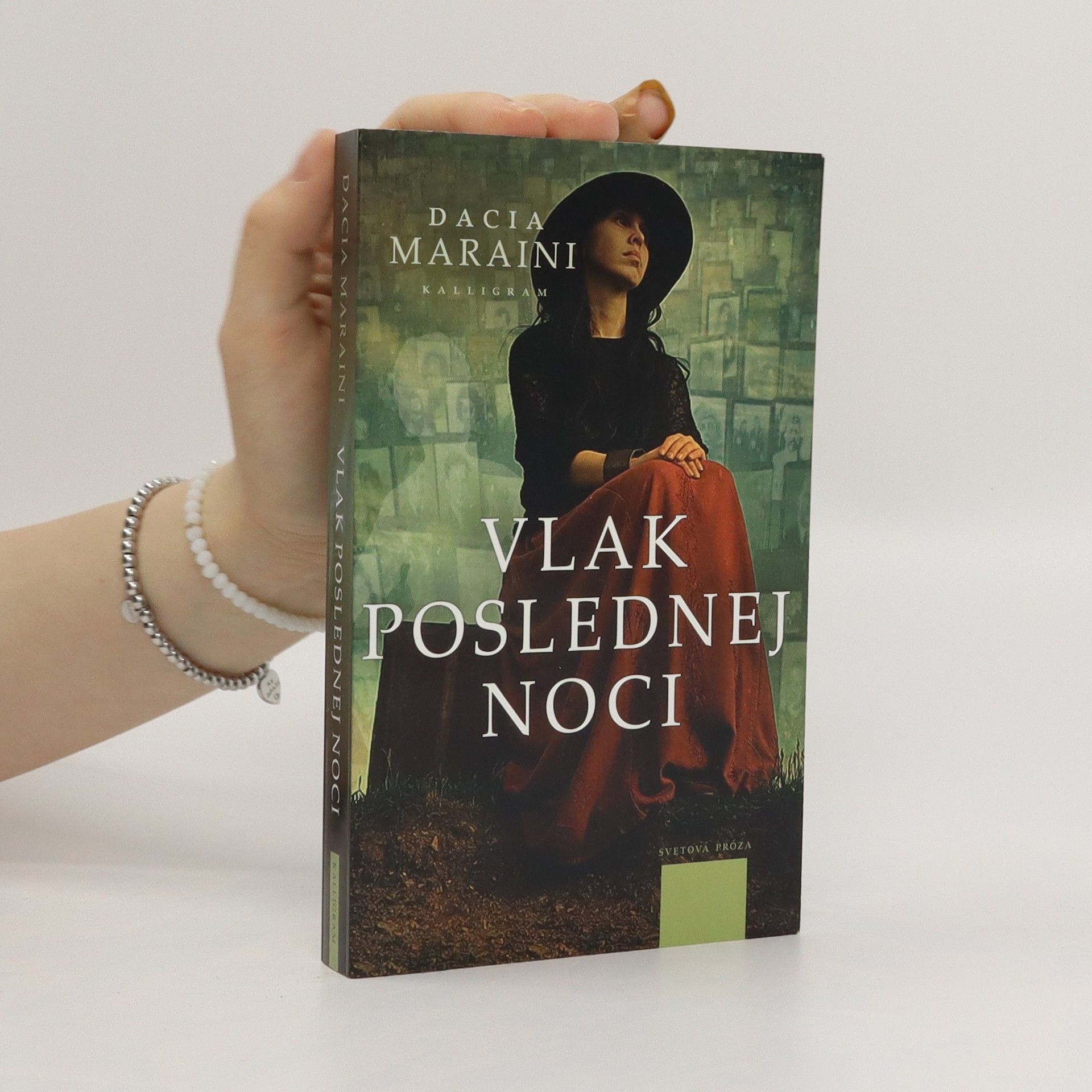 Dacia Maraini Vlak poslednej noci