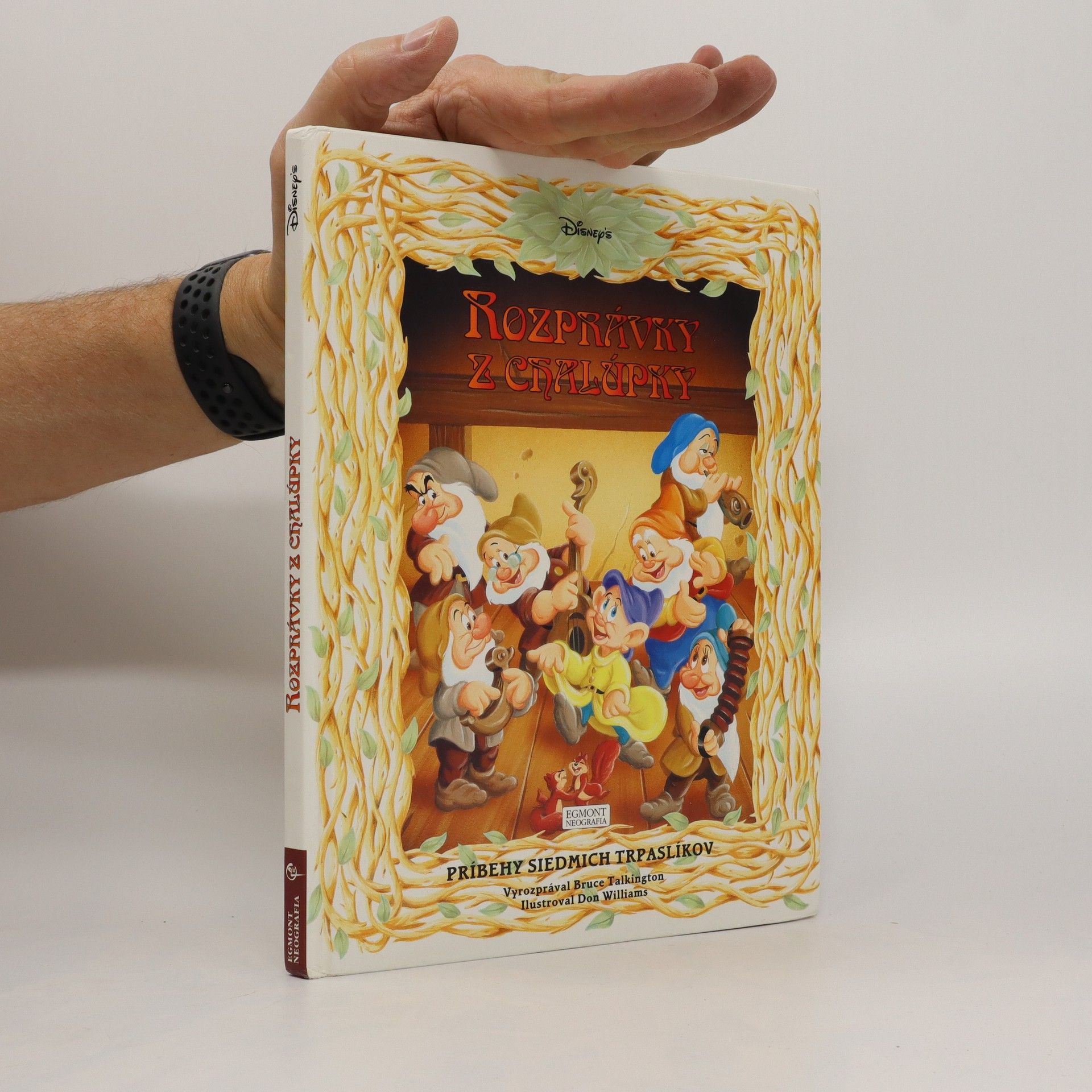 Walt Disney Rozprávky z chalúpky