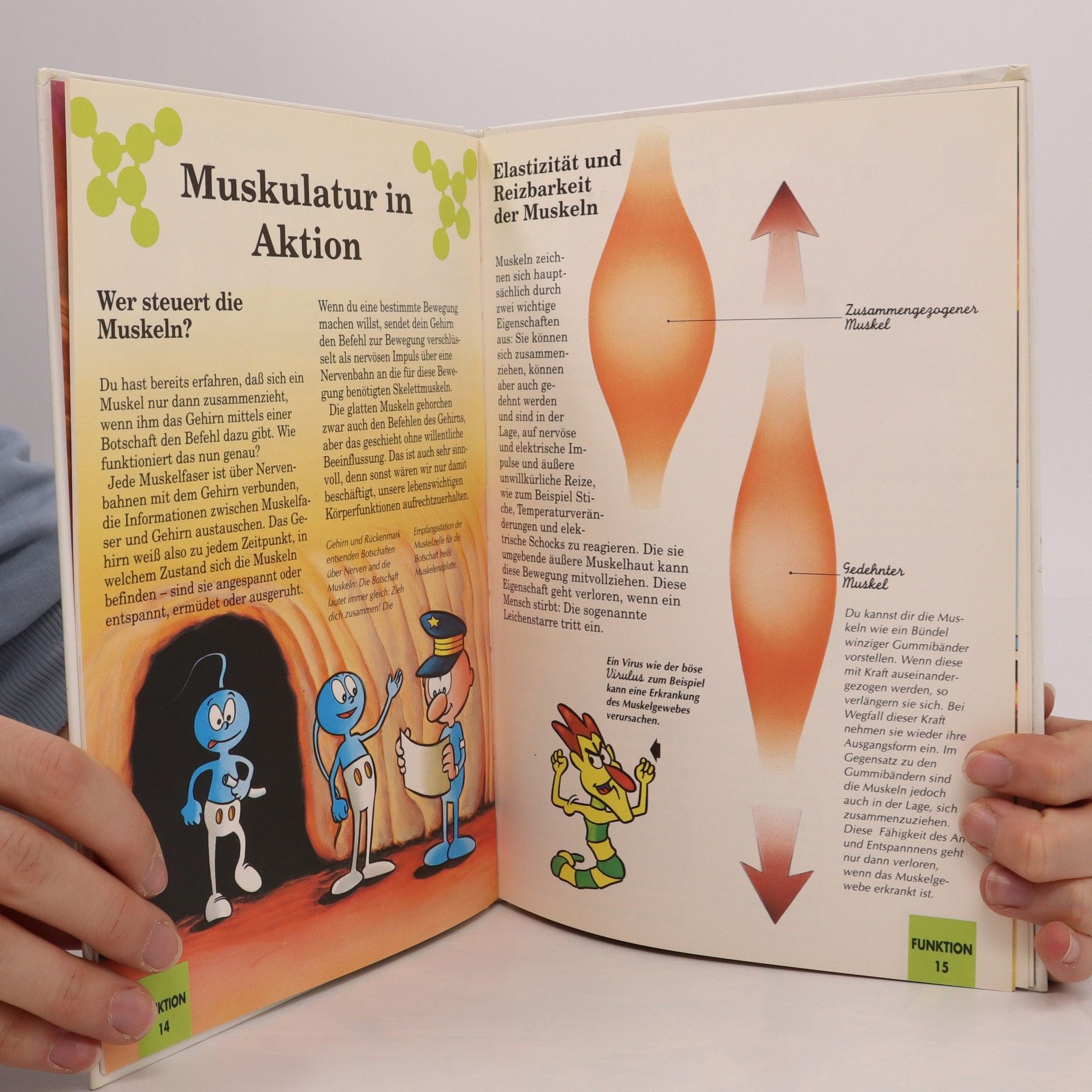 Autorenkollektiv Es war einmal... das Leben 1. Die Muskeln