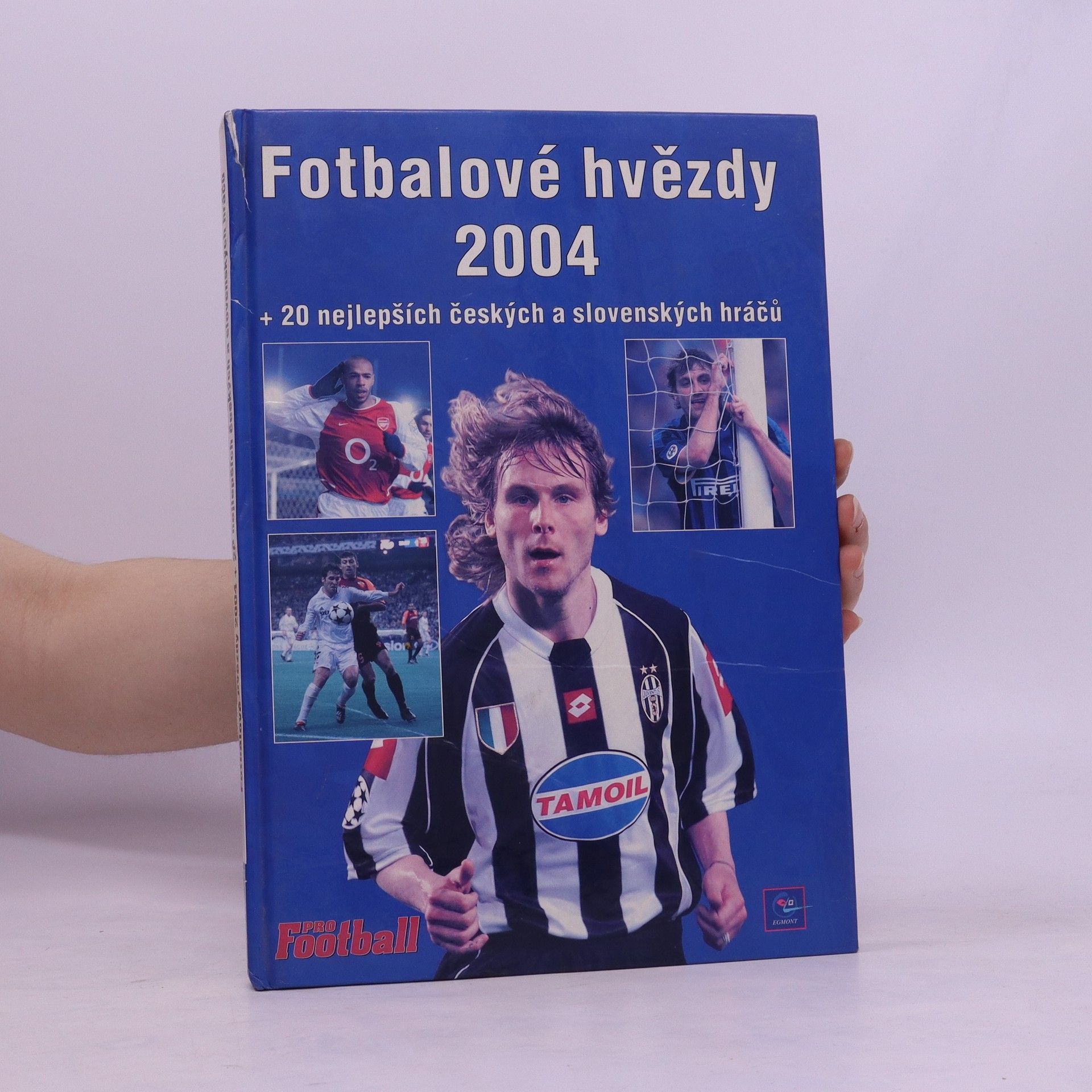 Fotbalové hvězdy 2004