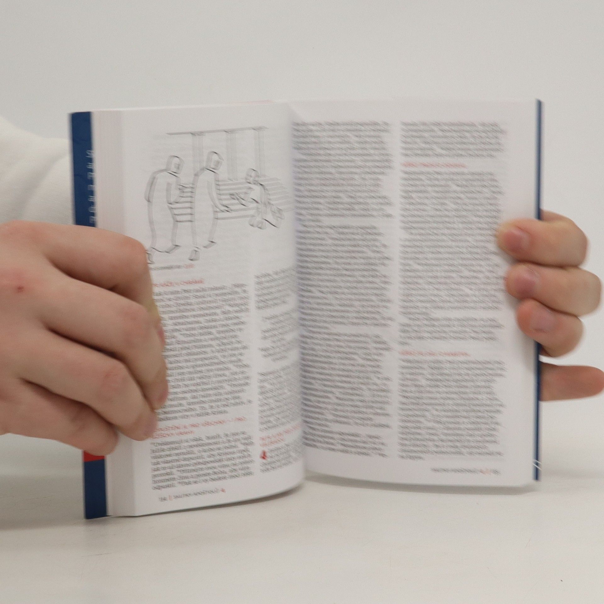 Autorenkollektiv Nový zákon. Slovo na cestu