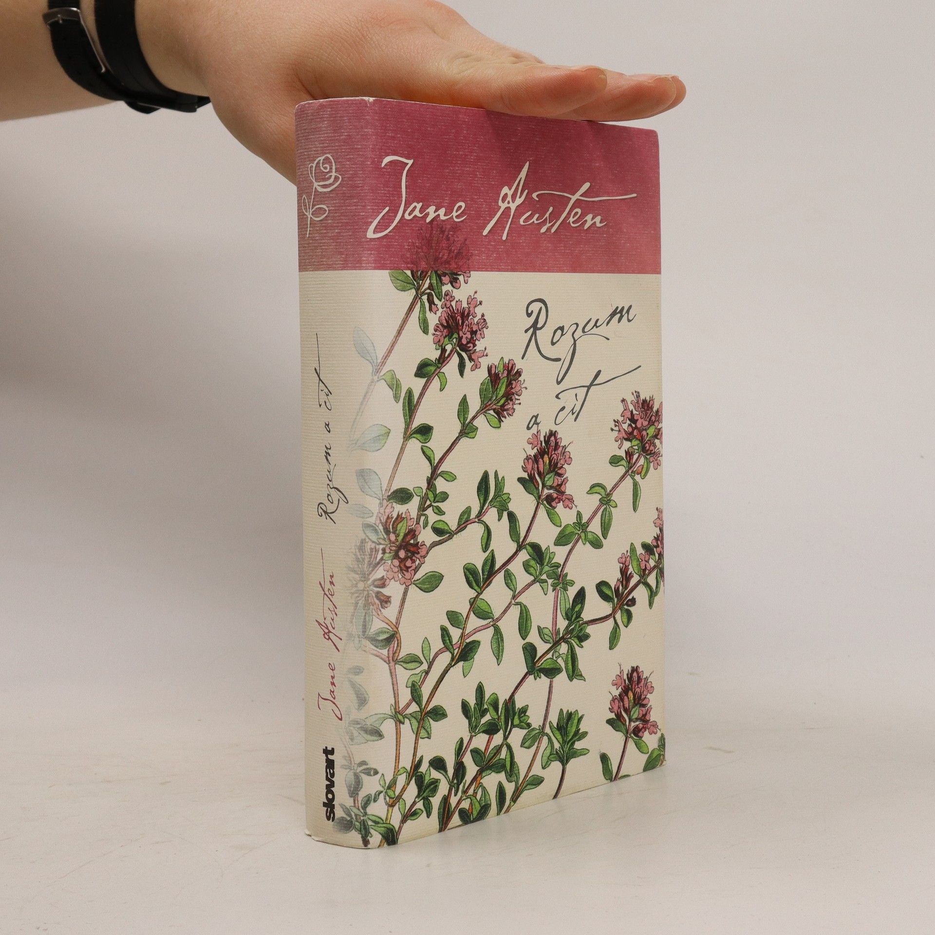 Jane Austen Rozum a cit