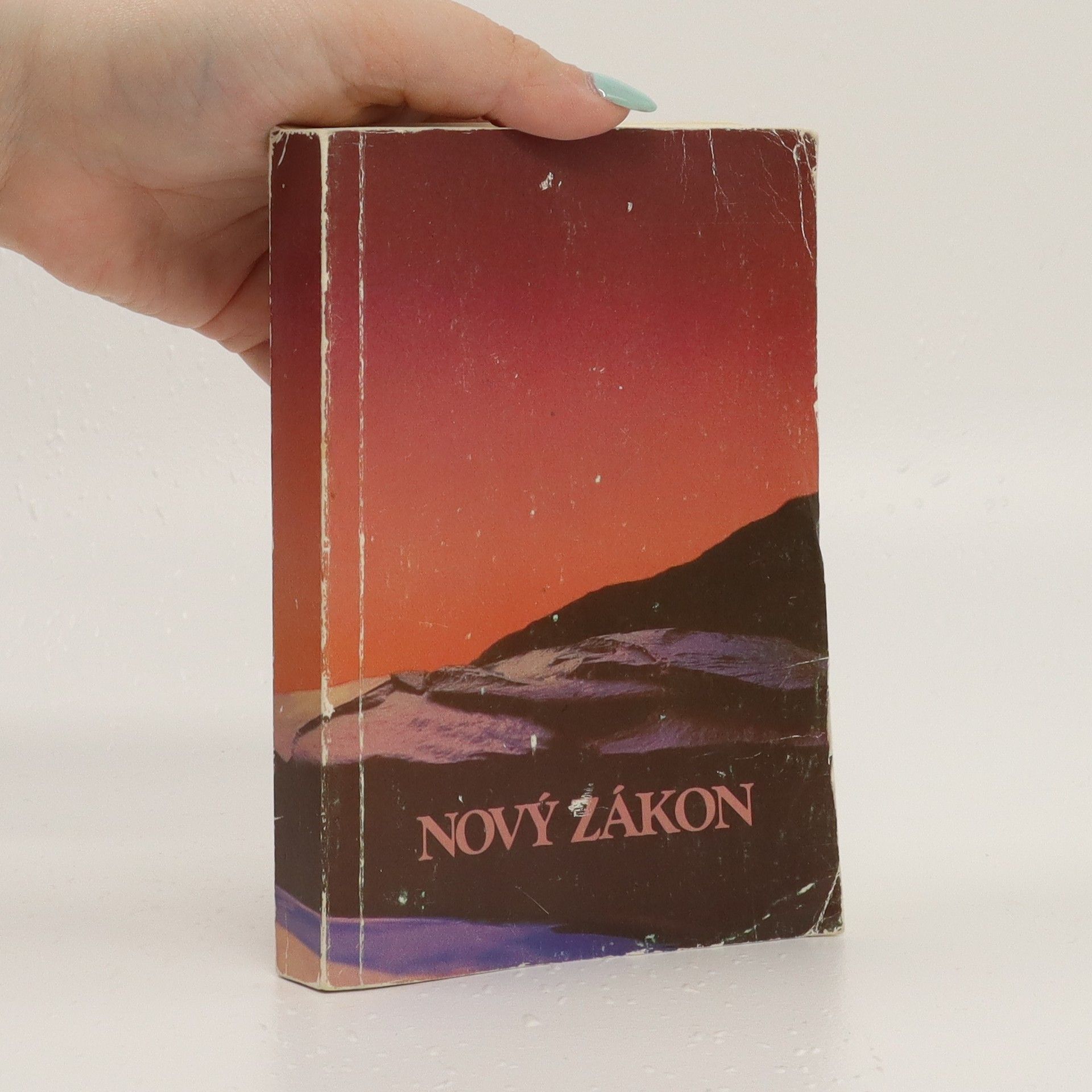 Autorenkollektiv Nový zákon