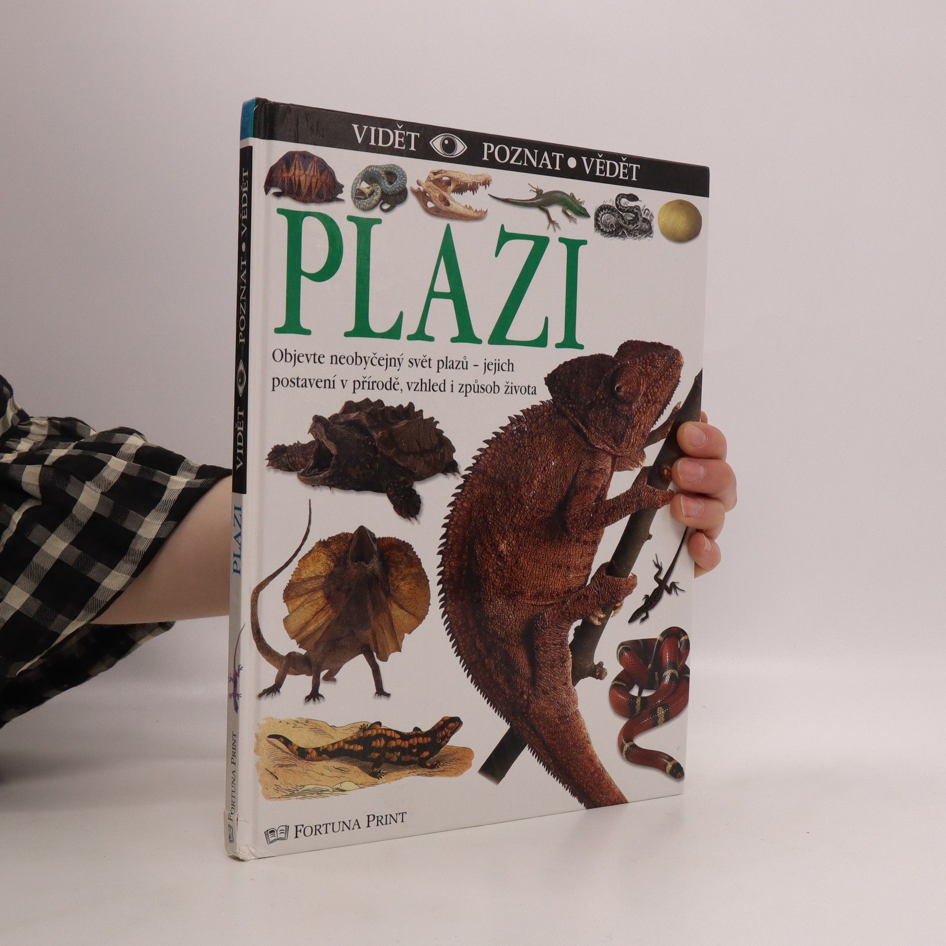 Colin McCarthy Plazi