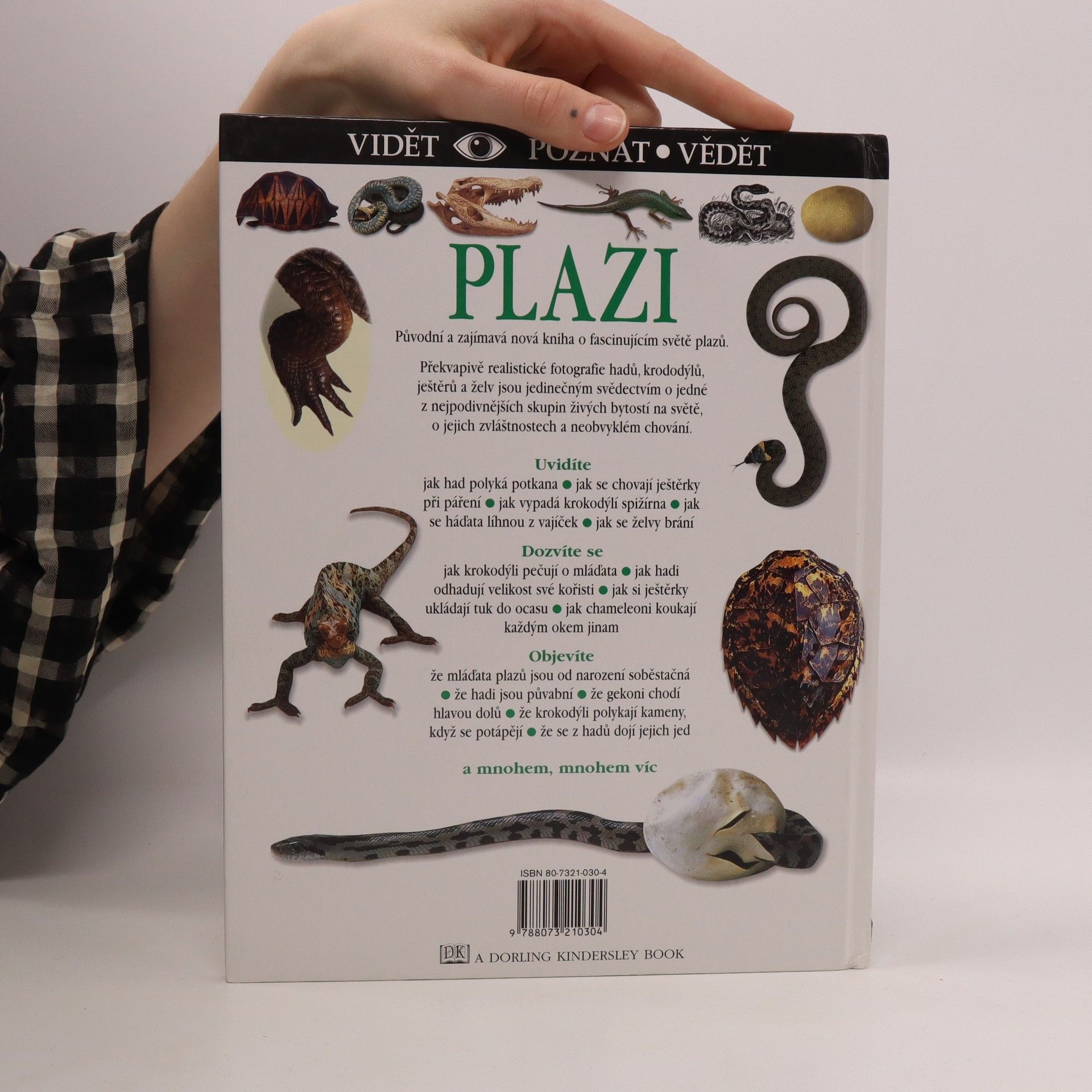 Colin McCarthy Plazi