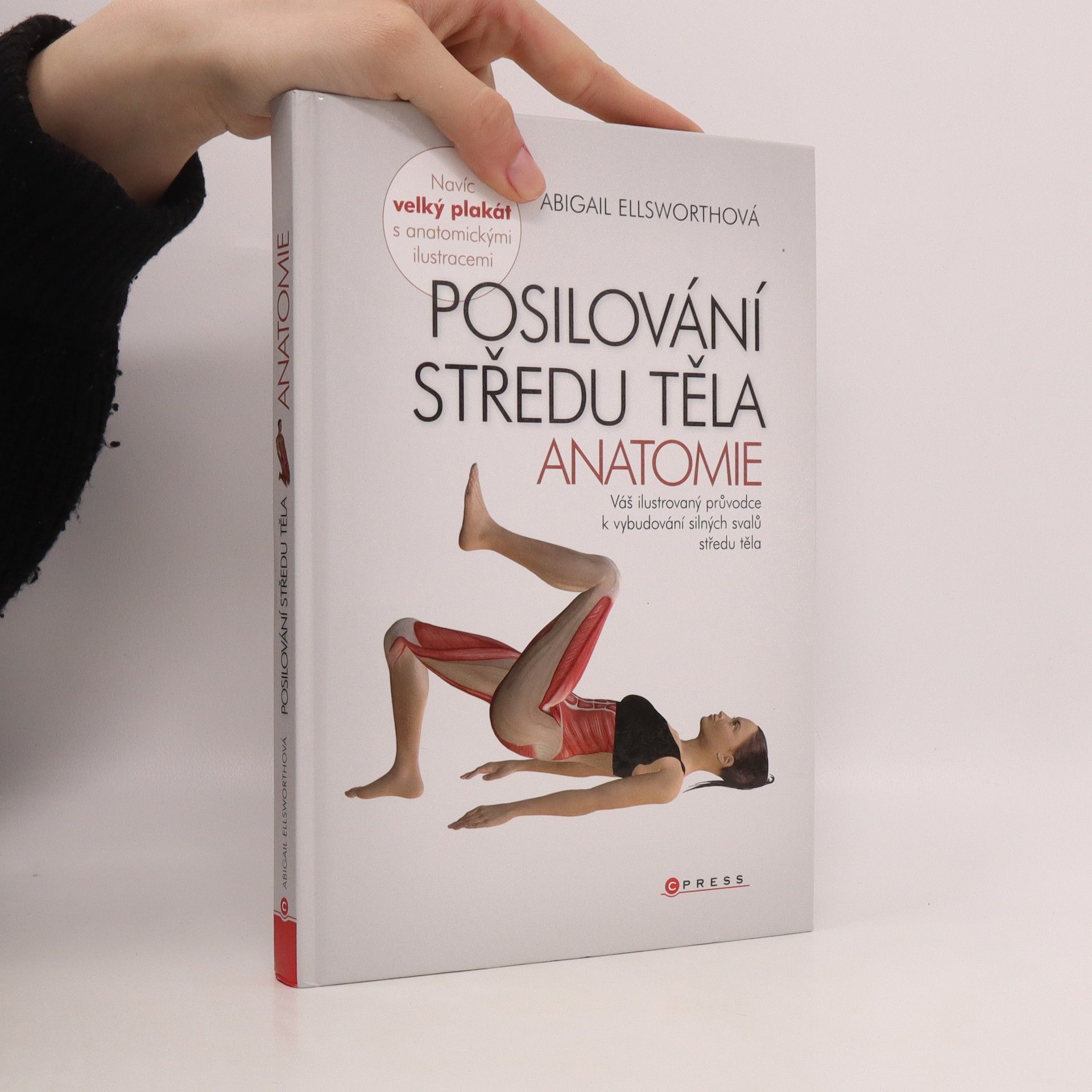Abby Ellsworth Posilování středu těla - anatomie