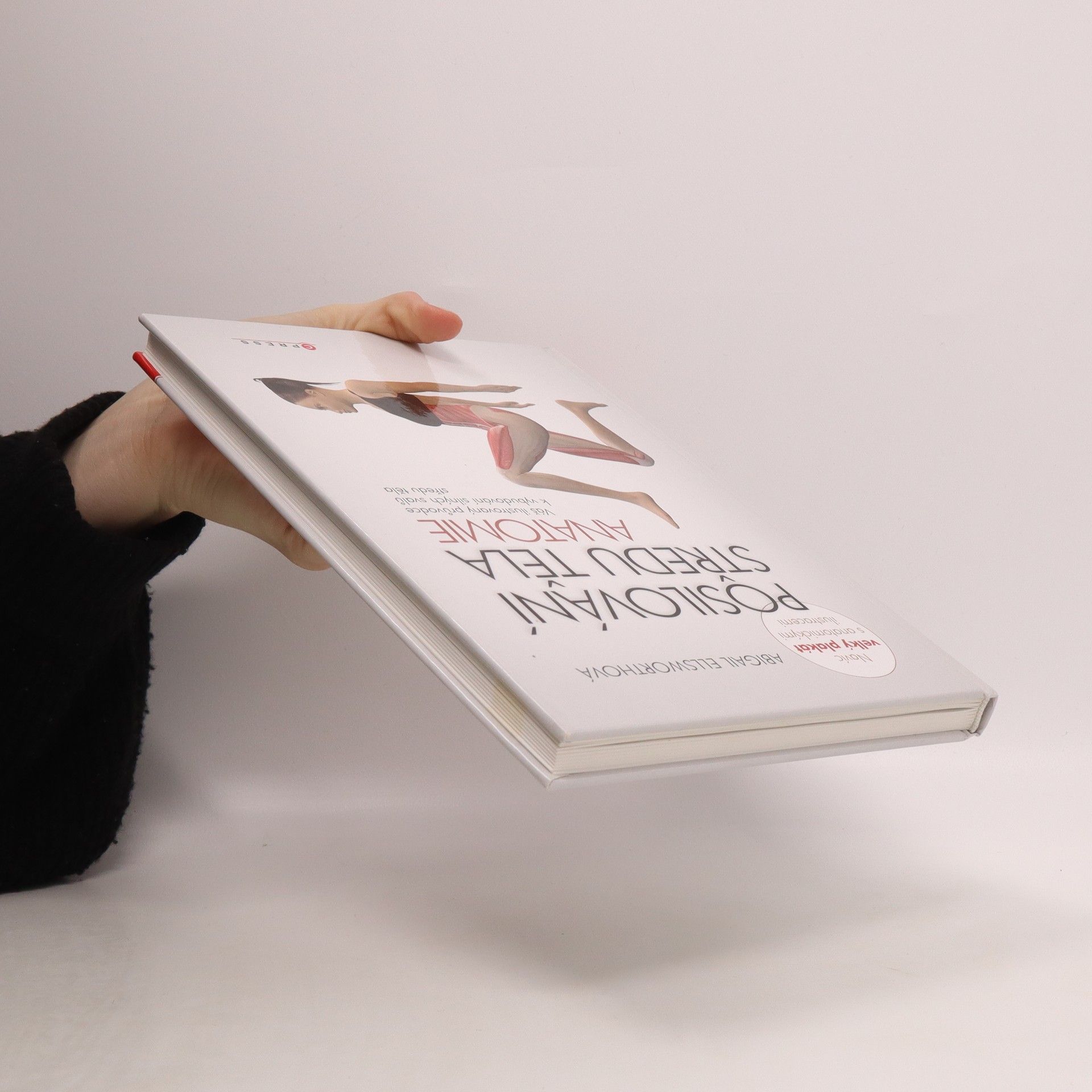 Abby Ellsworth Posilování středu těla - anatomie