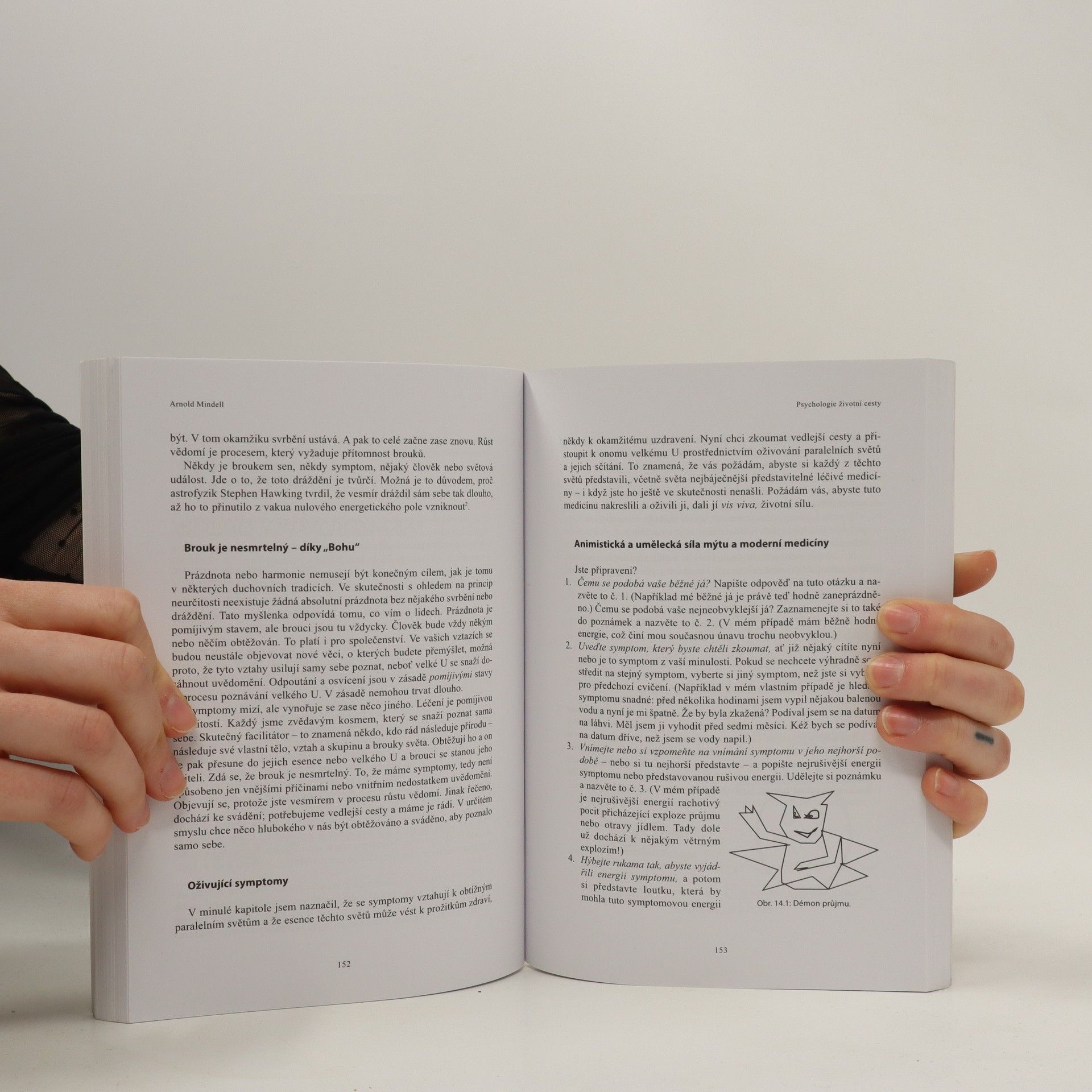 Arnold Mindell Psychologie životní cesty spjatá se zemí a jejími rytmy: Uvědomění si cesty: Učení dona Juana, Richarda Feynmana a Lao-c'